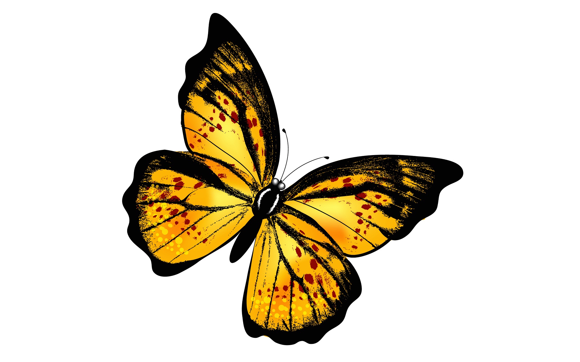 Скачать обои бесплатно Бабочка, Жёлтый, Художественные картинка на рабочий стол ПК
