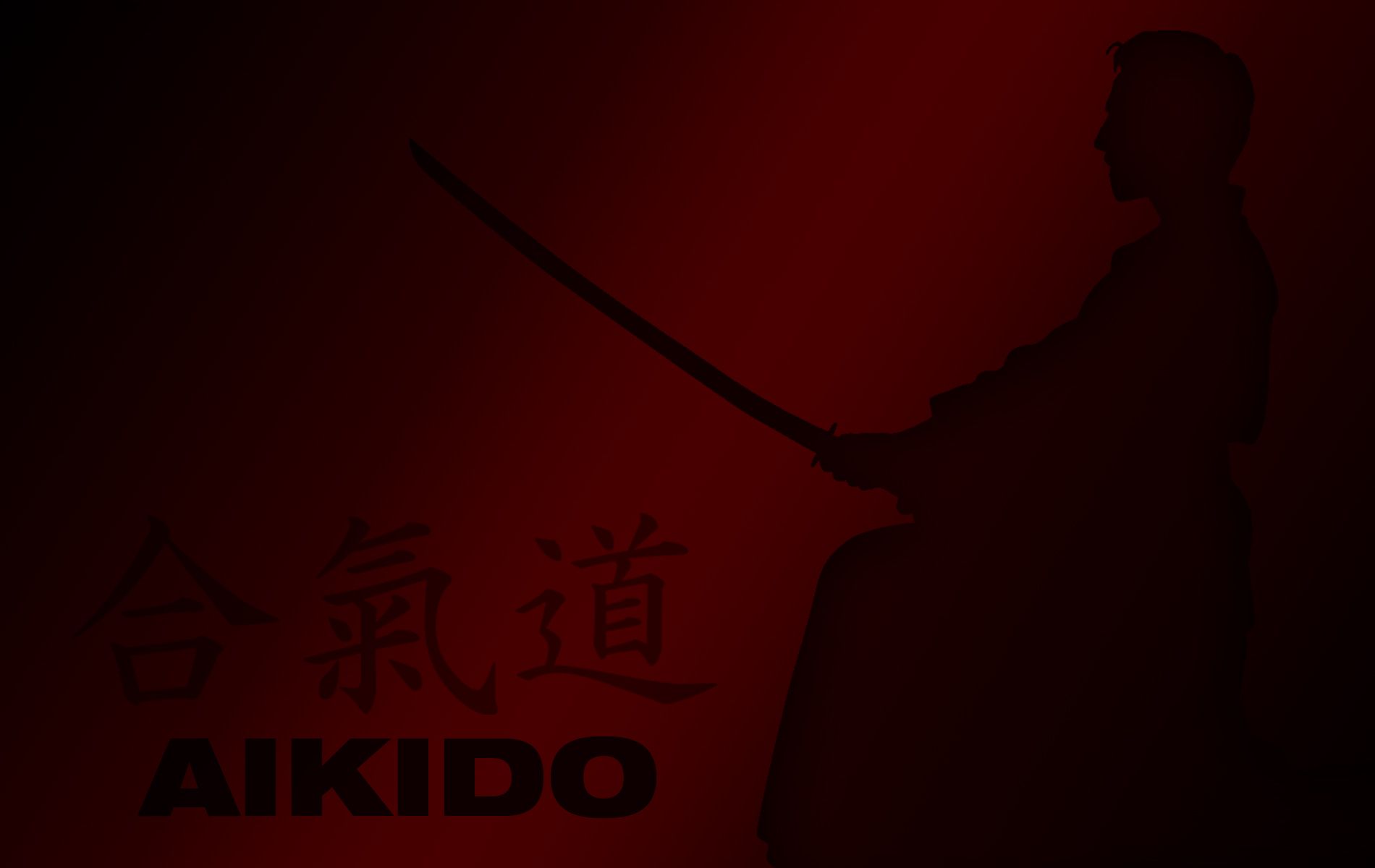 Download mobile wallpaper Sports, Oriental, Asian, Martial Arts for free.