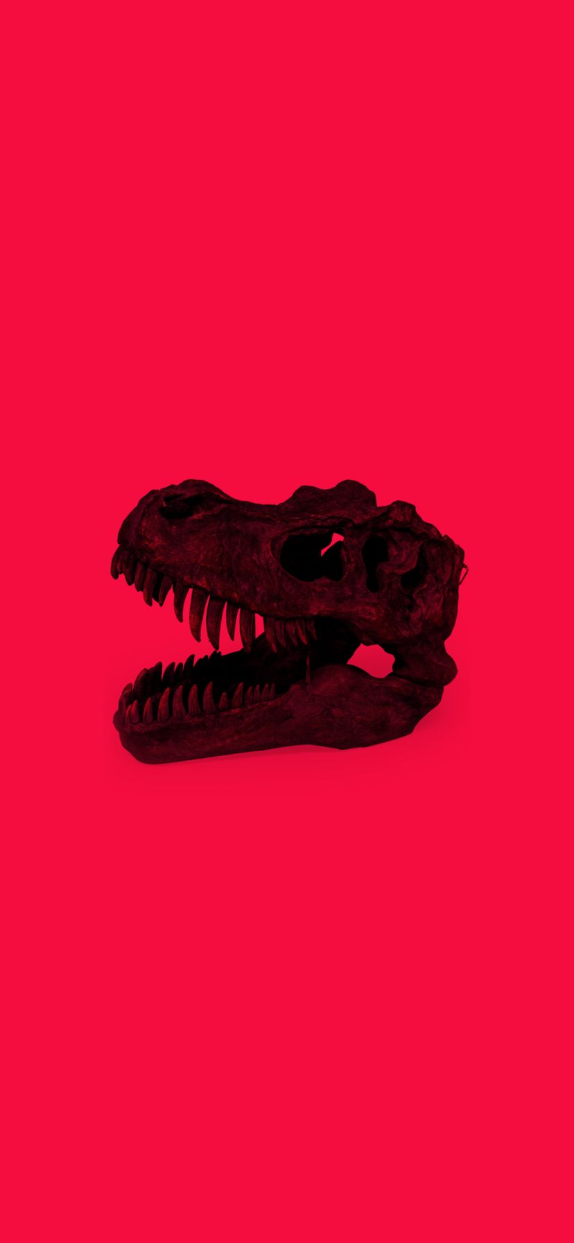 Download mobile wallpaper Dinosaurs, Animal, Dinosaur, Simple, Minimalist for free.