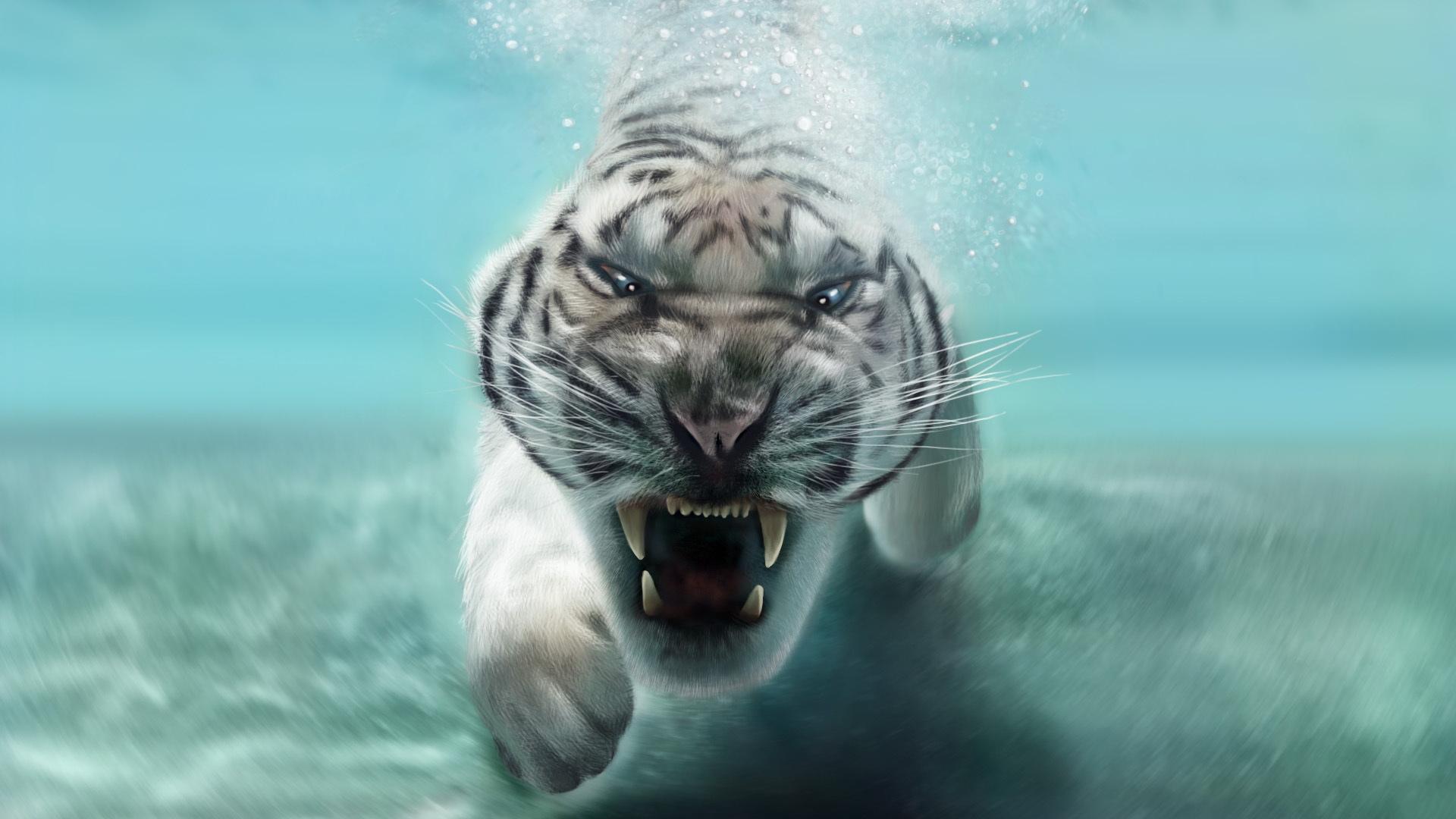Скачать обои бесплатно Животные, Тигр, Белый Тигр, Подводный, Кошки картинка на рабочий стол ПК