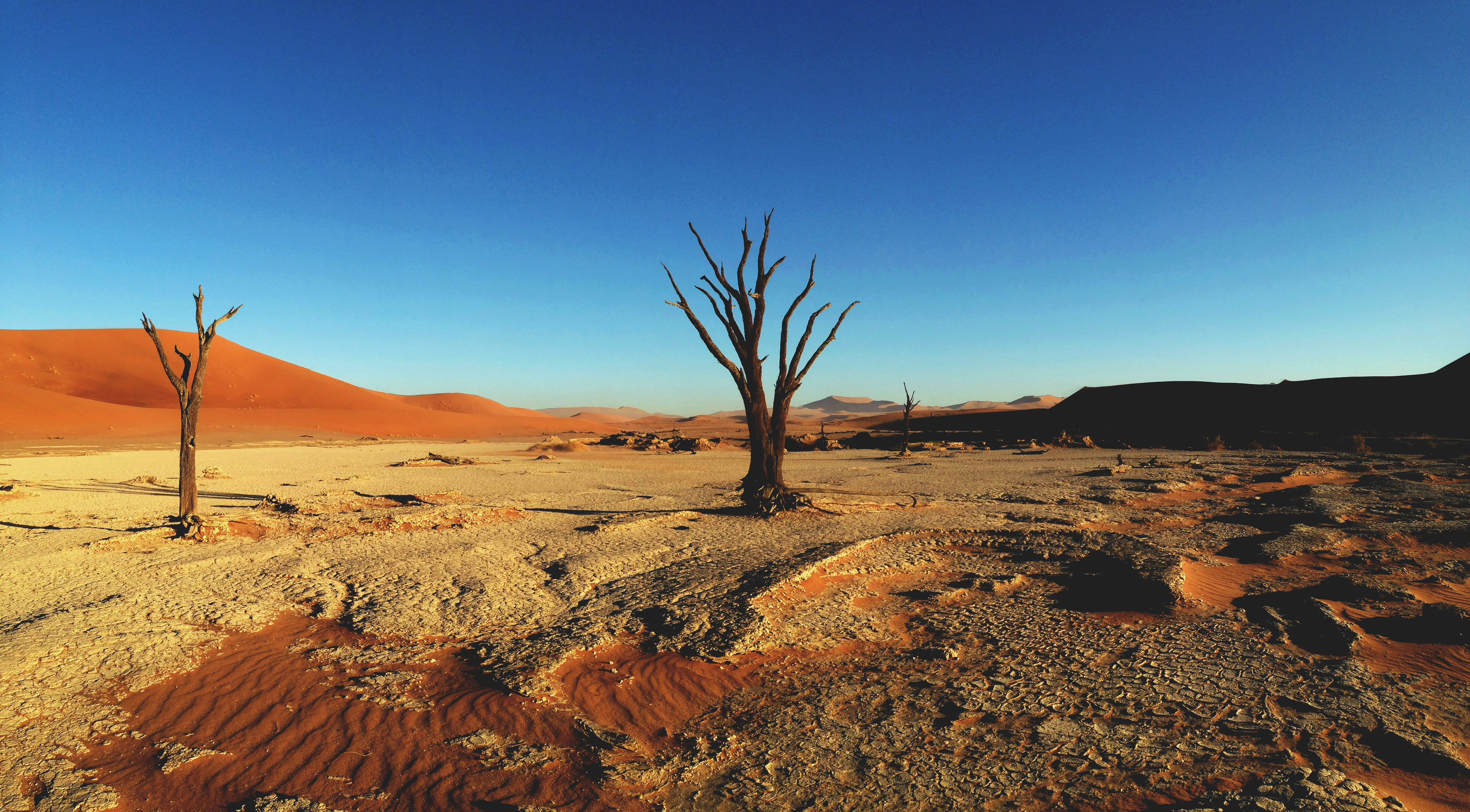 Descarga gratuita de fondo de pantalla para móvil de Desierto, Tierra/naturaleza.