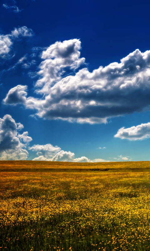 Descarga gratuita de fondo de pantalla para móvil de Cielo, Nube, Tierra/naturaleza, Árbol Solitario.