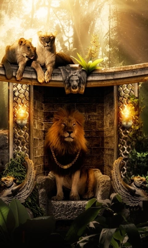 Download mobile wallpaper Cats, Lion, Animal, Jungle for free.