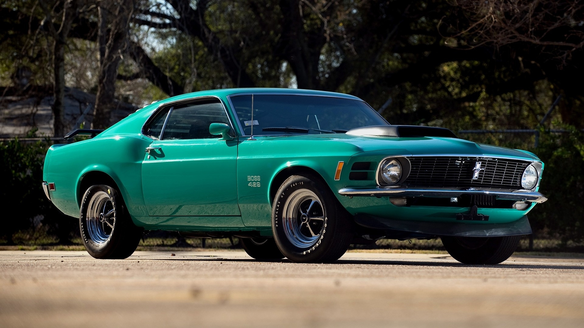 vehicles, ford mustang boss 429, ford