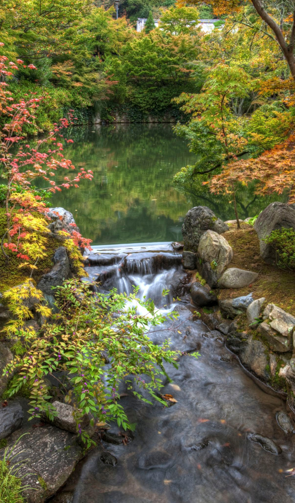 Handy-Wallpaper Natur, Herbst, Park, Garten, Japan, Menschengemacht, Kyōto, Der Harmoniegarten kostenlos herunterladen.