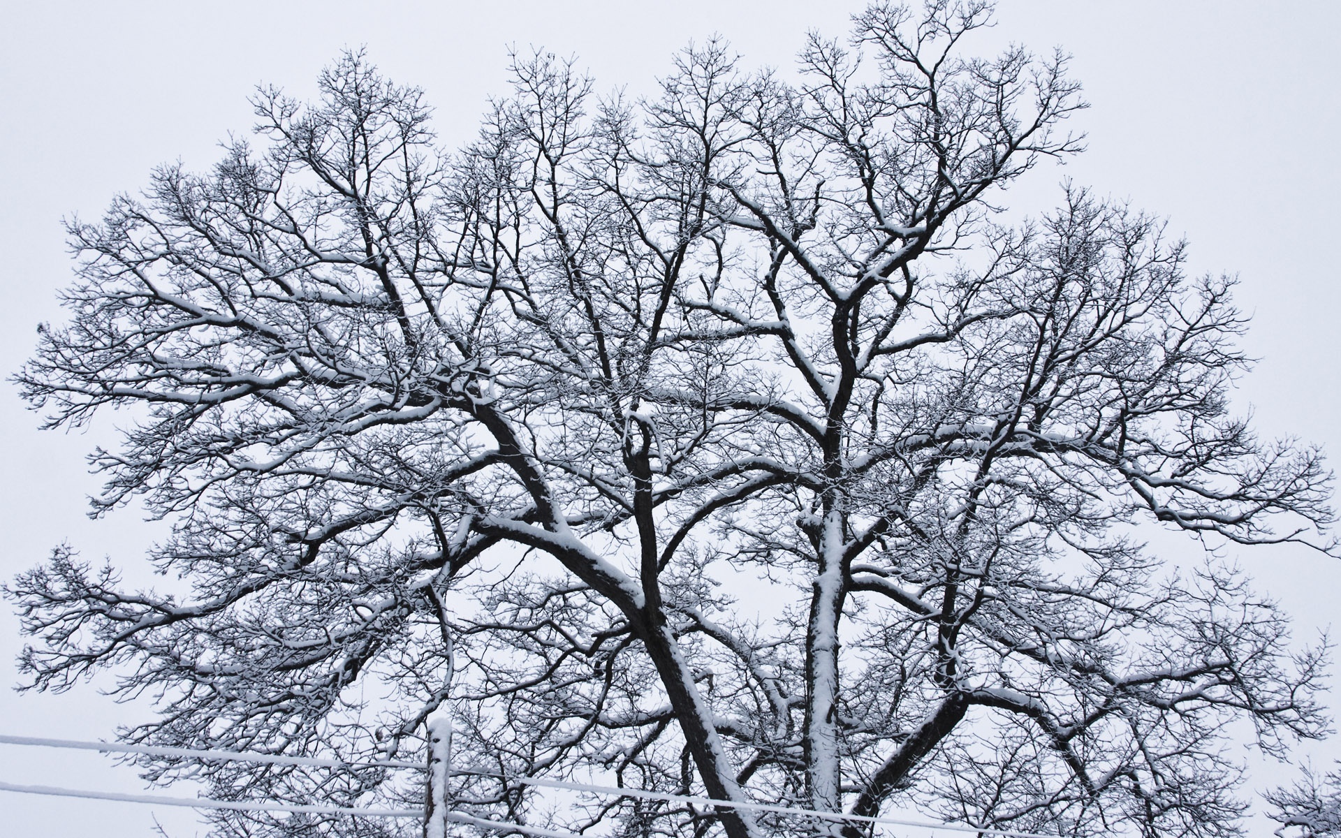  Winter HQ Background Images