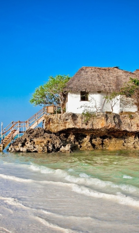 1273064 baixar papel de parede feito pelo homem, casa, zanzibar, escadas, árvore, litoral, beira mar, tanzânia, engraçado - protetores de tela e imagens gratuitamente