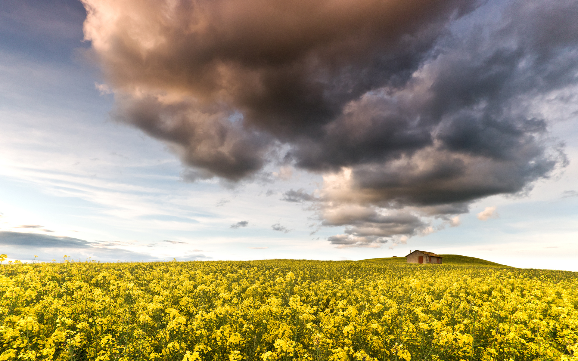 Descarga gratis la imagen Flores, Flor, Tierra/naturaleza en el escritorio de tu PC