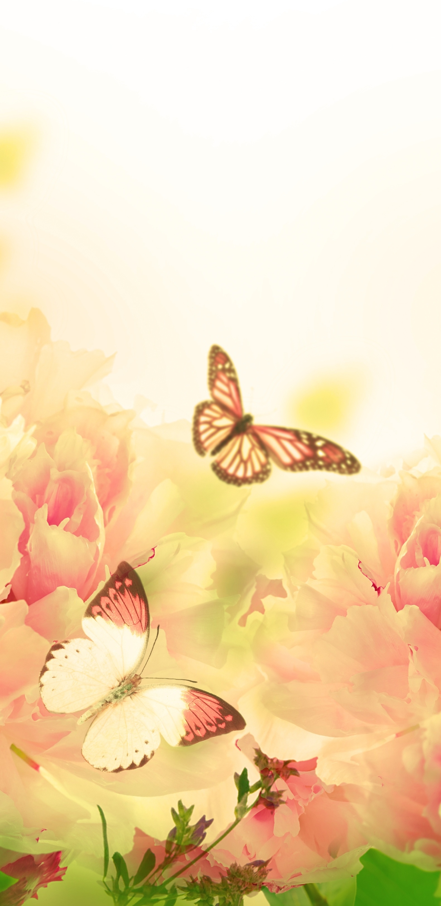 Download mobile wallpaper Pink, Flower, Insect, Butterfly, Animal for free.