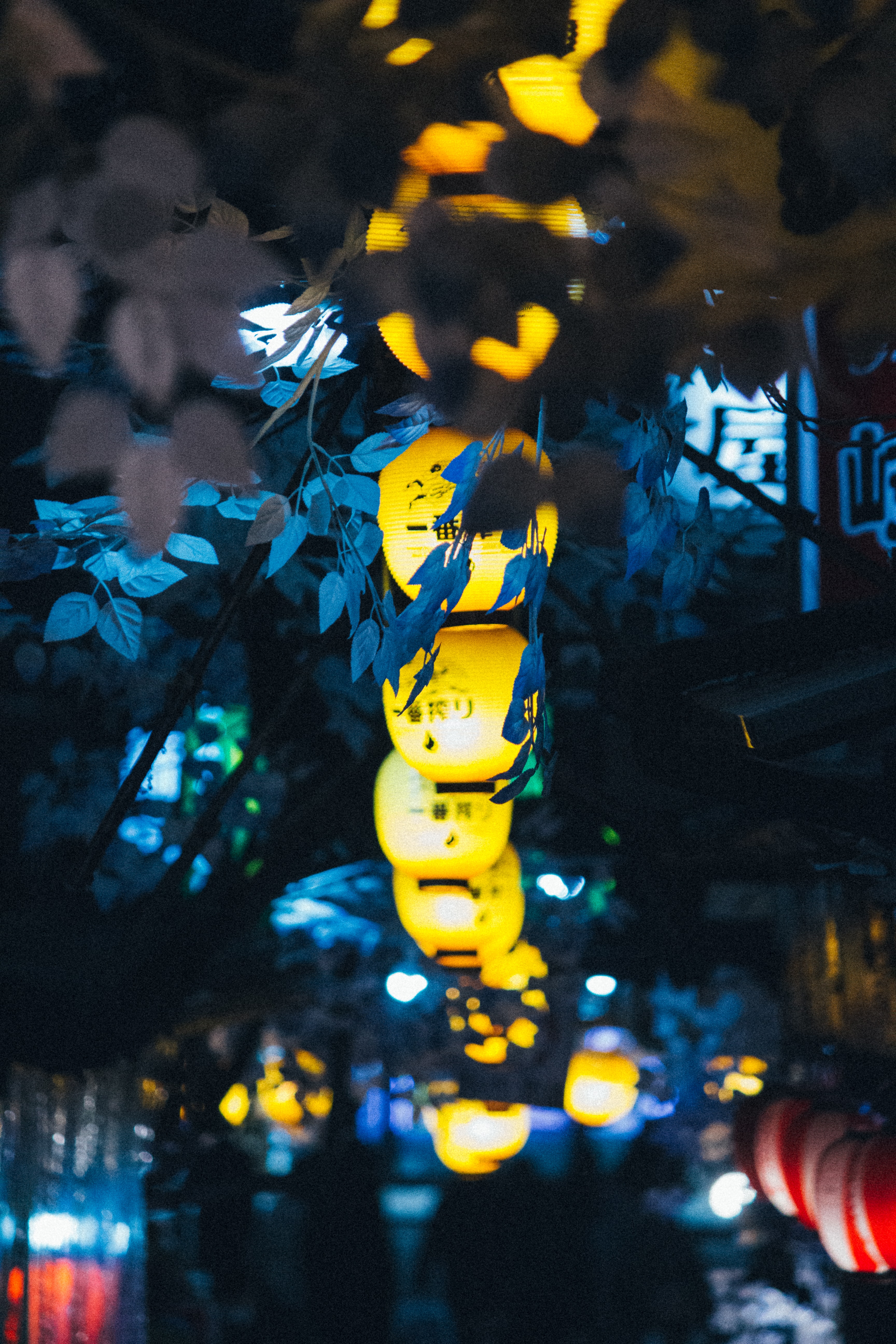 65446 télécharger le fond d'écran lanternes chinoises, briller, lumière, divers, branches, lueur, décoration - économiseurs d'écran et images gratuitement