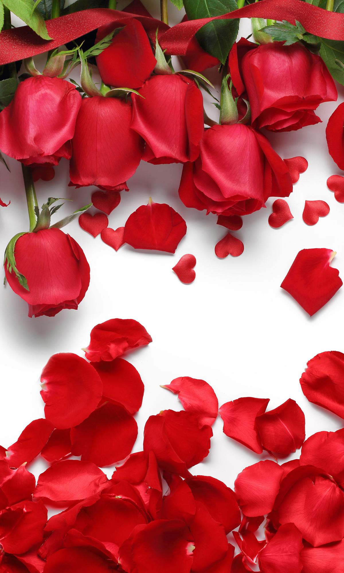 Скачати мобільні шпалери Квітка, Роза, Земля, Пелюстка, Червона Троянда, Червона Квітка, Флауерзи безкоштовно.