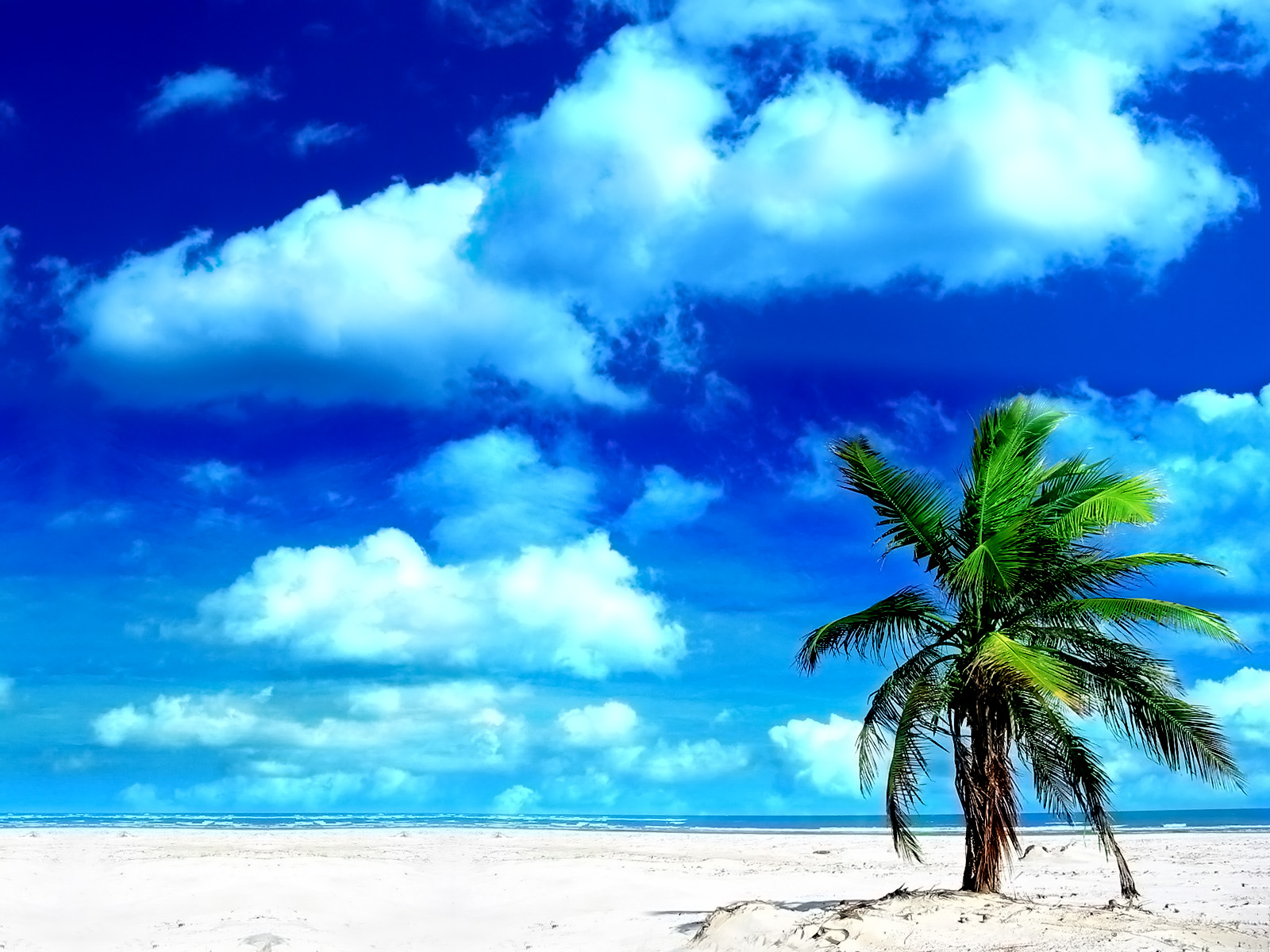 Скачать обои бесплатно Природа, Пляж, Пальма, Тропический, Облако, Земля/природа картинка на рабочий стол ПК