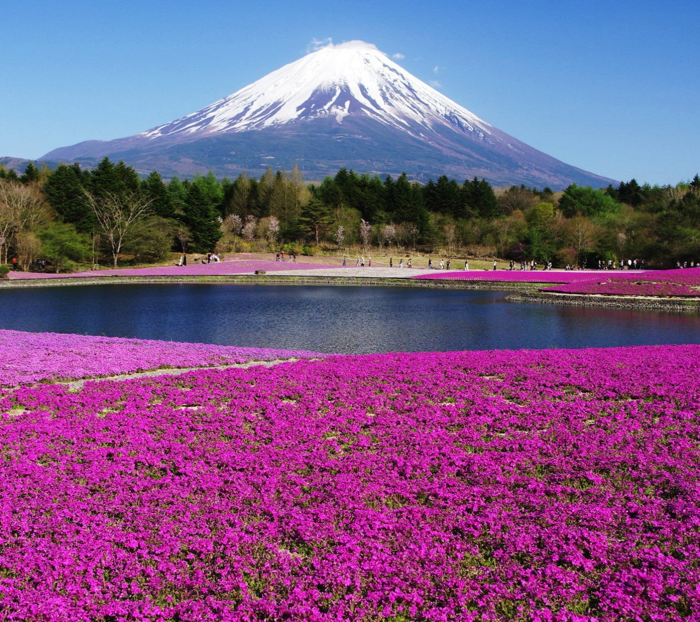 無料モバイル壁紙山, 地球, 山岳をダウンロードします。