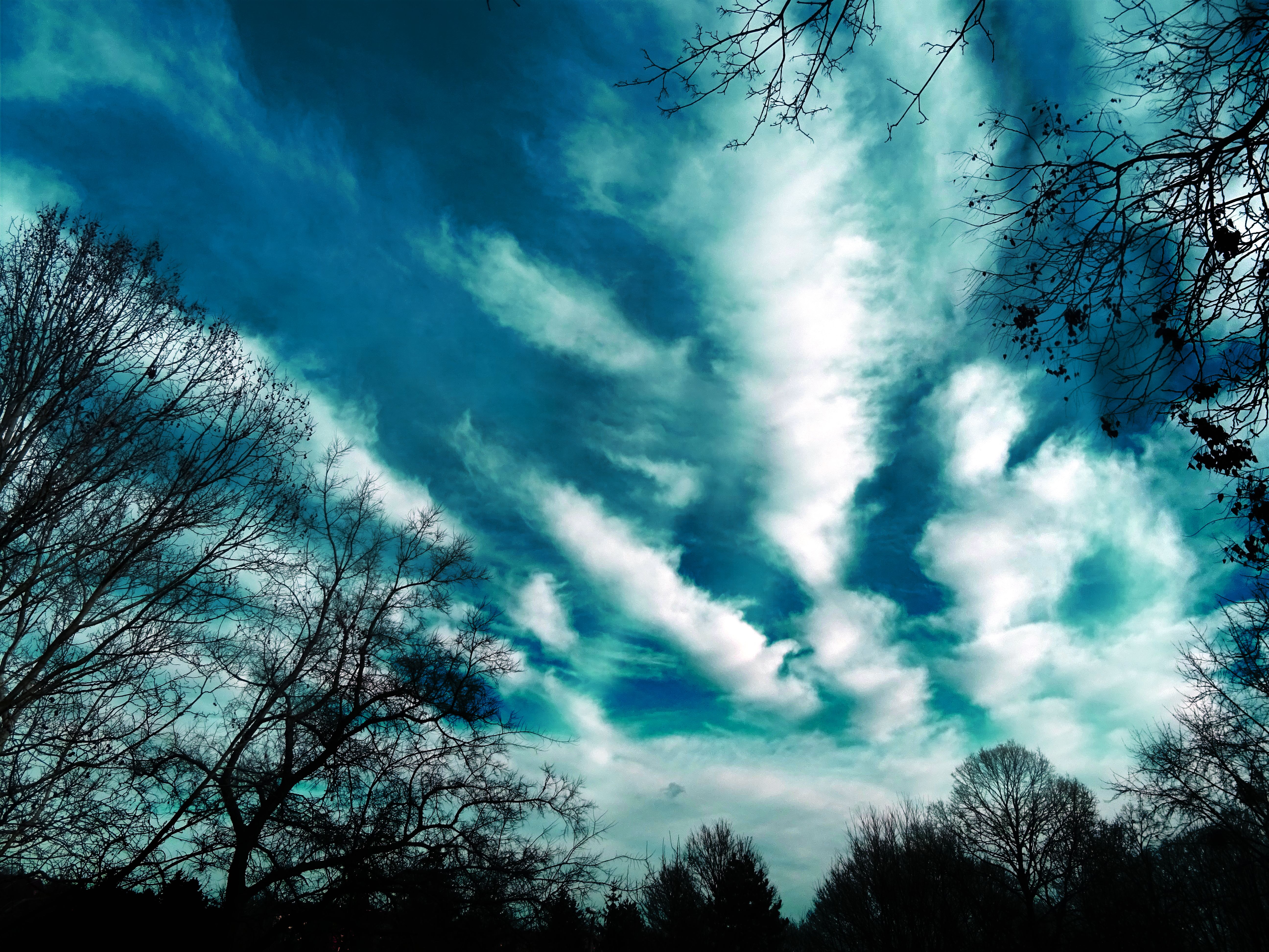 Download mobile wallpaper Clouds, Sky, Evening, Trees, Nature for free.