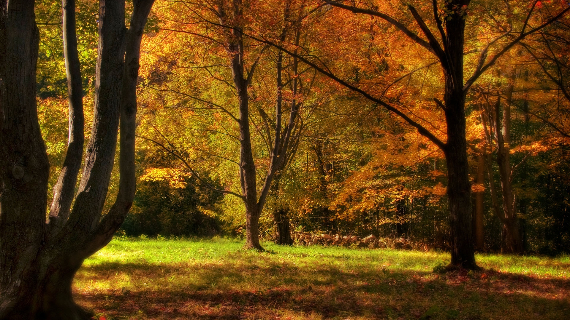 Free download wallpaper Fall, Photography on your PC desktop