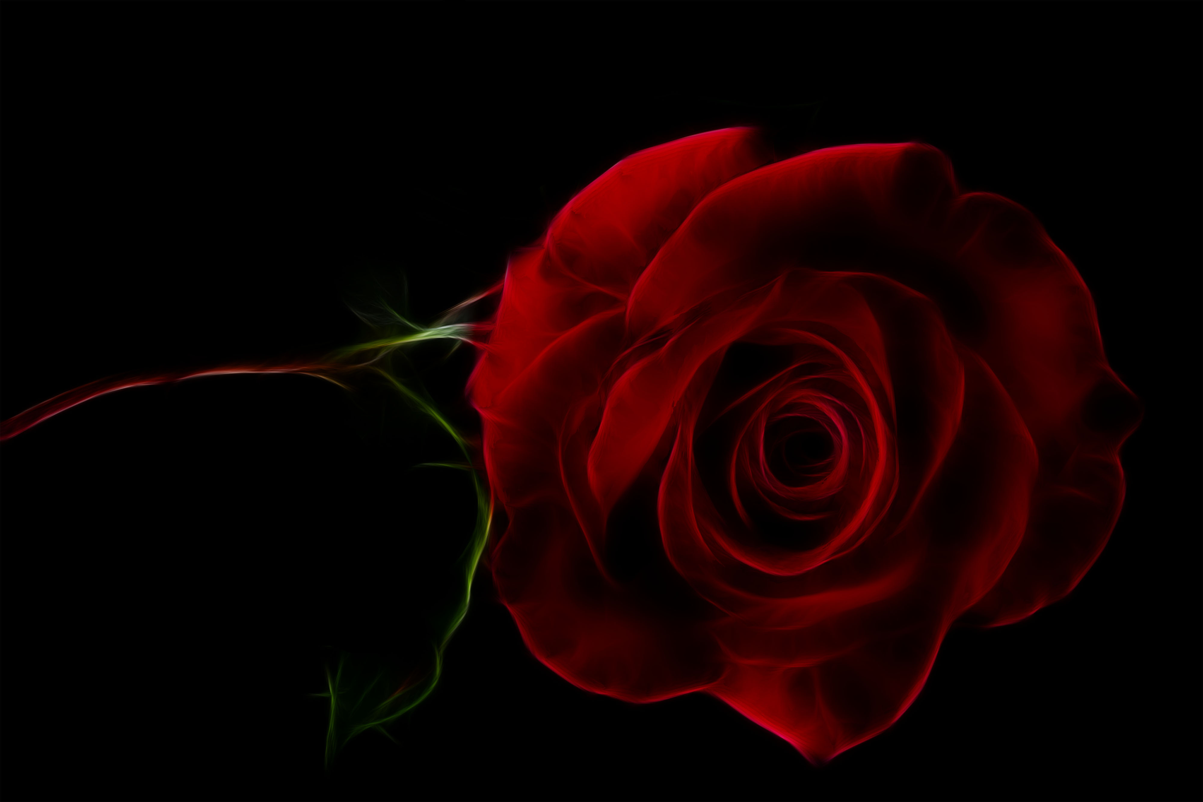 Скачать обои бесплатно Роза, Чёрный, Художественные, Красный Цветок, Фракталь картинка на рабочий стол ПК