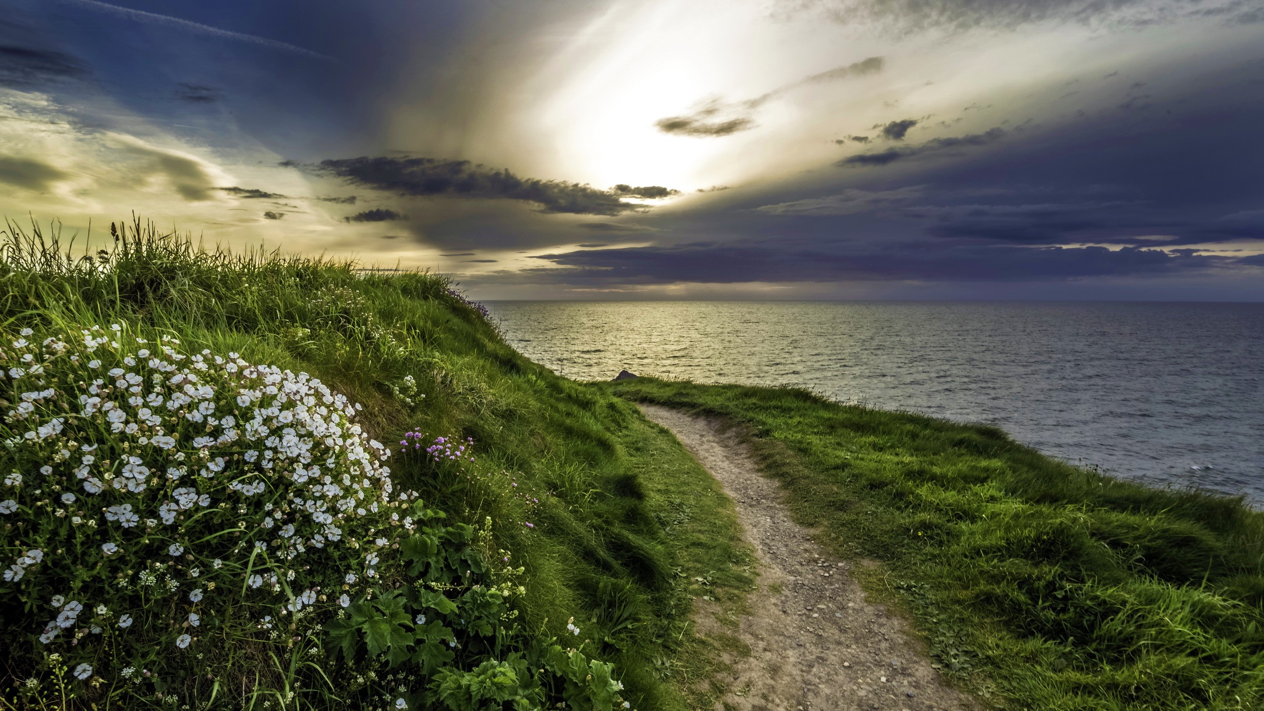 Téléchargez gratuitement l'image Mer, Horizon, Fleur, Océan, Chemin, Angleterre, Ciel, Terre/nature sur le bureau de votre PC