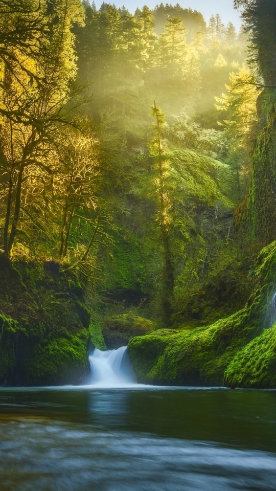 Скачать картинку Водопады, Водопад, Лес, Земля, Зеленый, Земля/природа в телефон бесплатно.