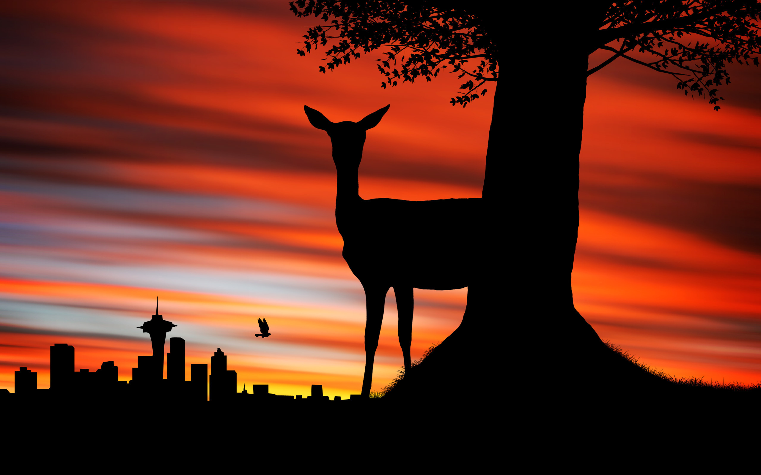 Free download wallpaper Animal, Deer on your PC desktop