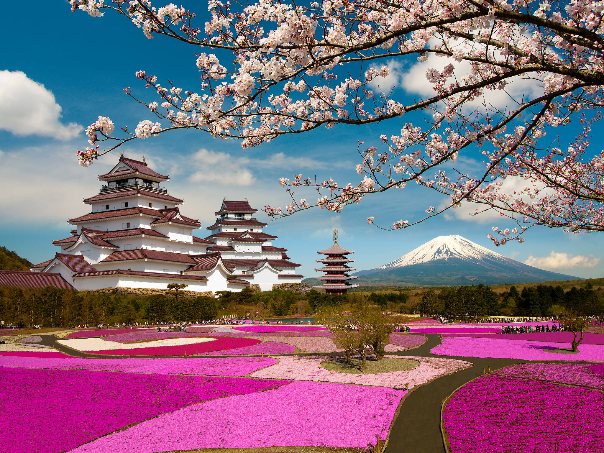 Download mobile wallpaper Castles, Sakura, Park, Japan, Volcano, Mount Fuji, Man Made, Castle, Tsuruga Jō for free.