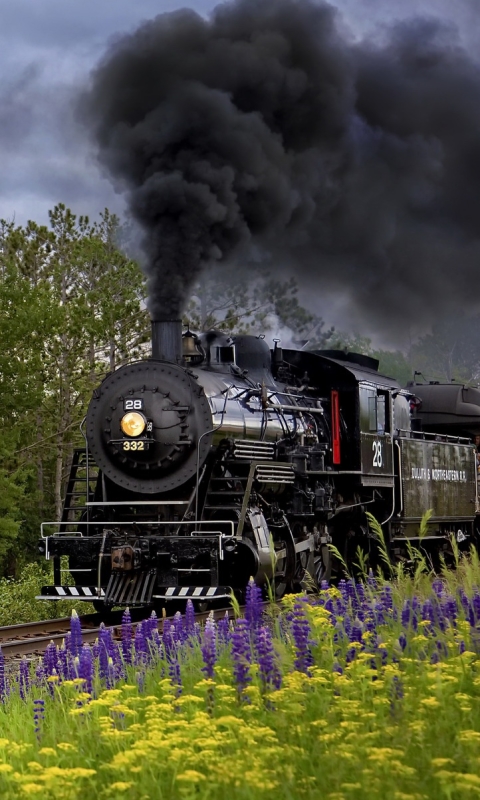 Download mobile wallpaper Smoke, Flower, Train, Locomotive, Vehicles, Steam Train for free.