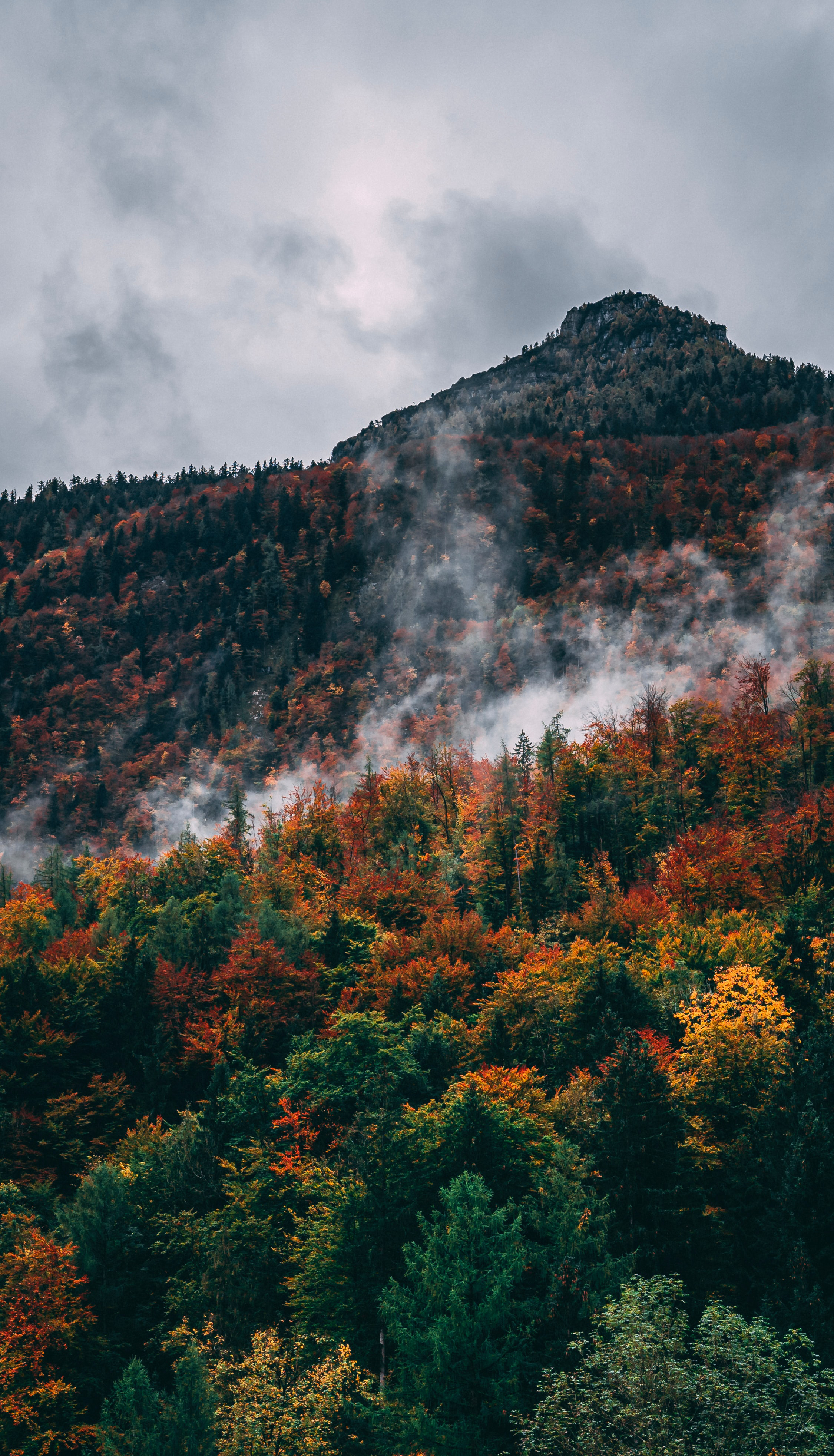 Handy-Wallpaper Clouds, Berg, Nach Oben, Scheitel, Steigung, Natur, Wald kostenlos herunterladen.
