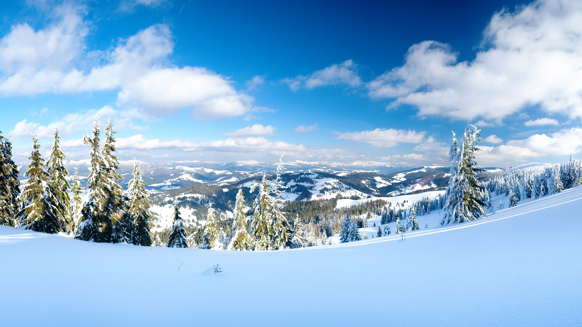 Free download wallpaper Winter, Earth on your PC desktop