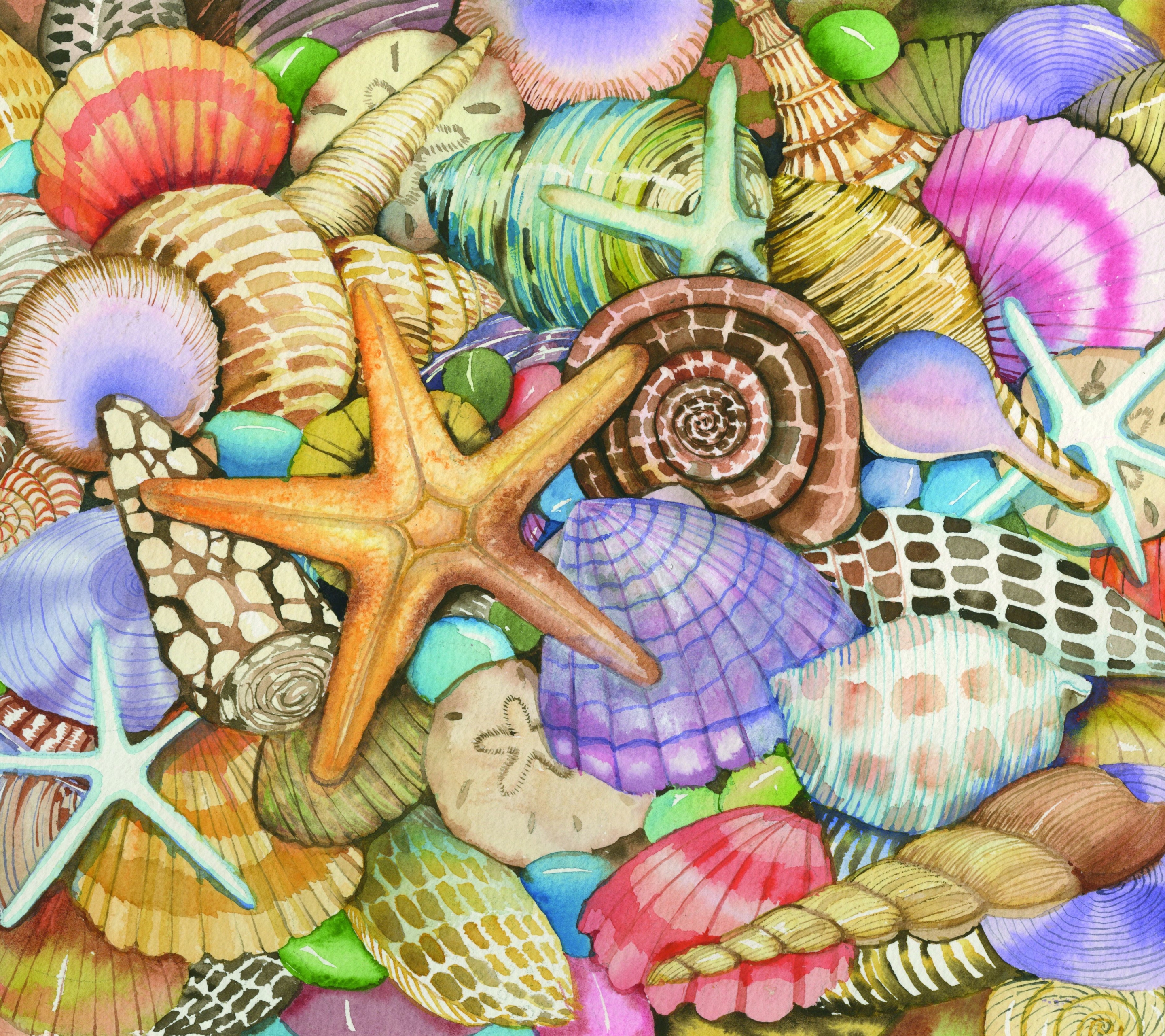 Download mobile wallpaper Animal, Sea Life for free.