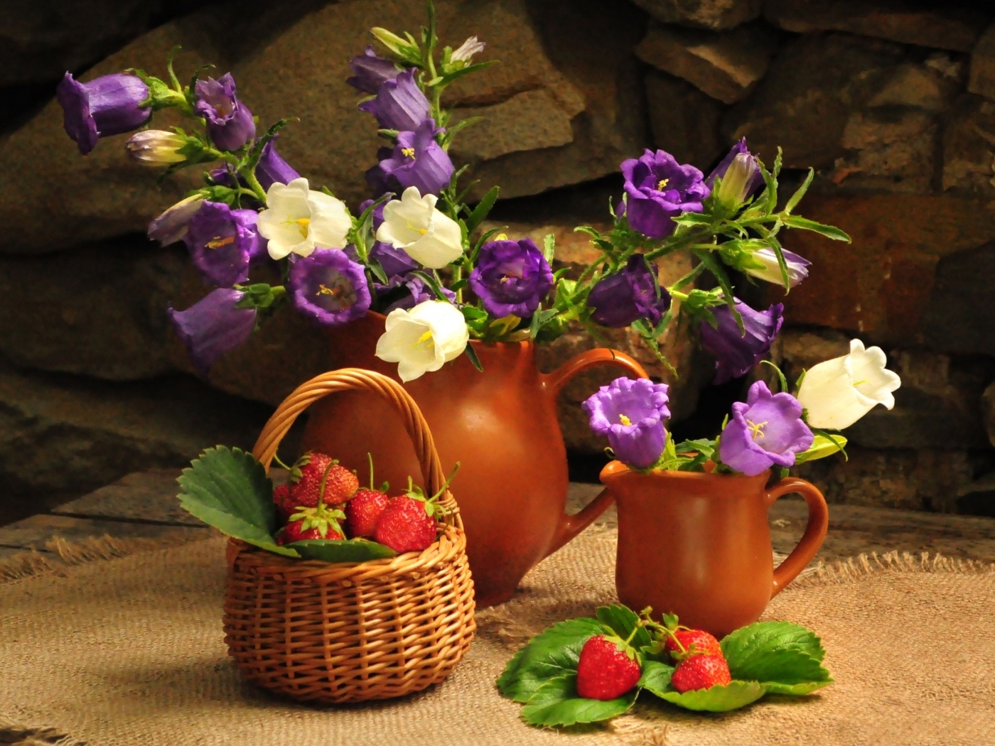 Скачать обои бесплатно Цветы, Растения, Объекты картинка на рабочий стол ПК