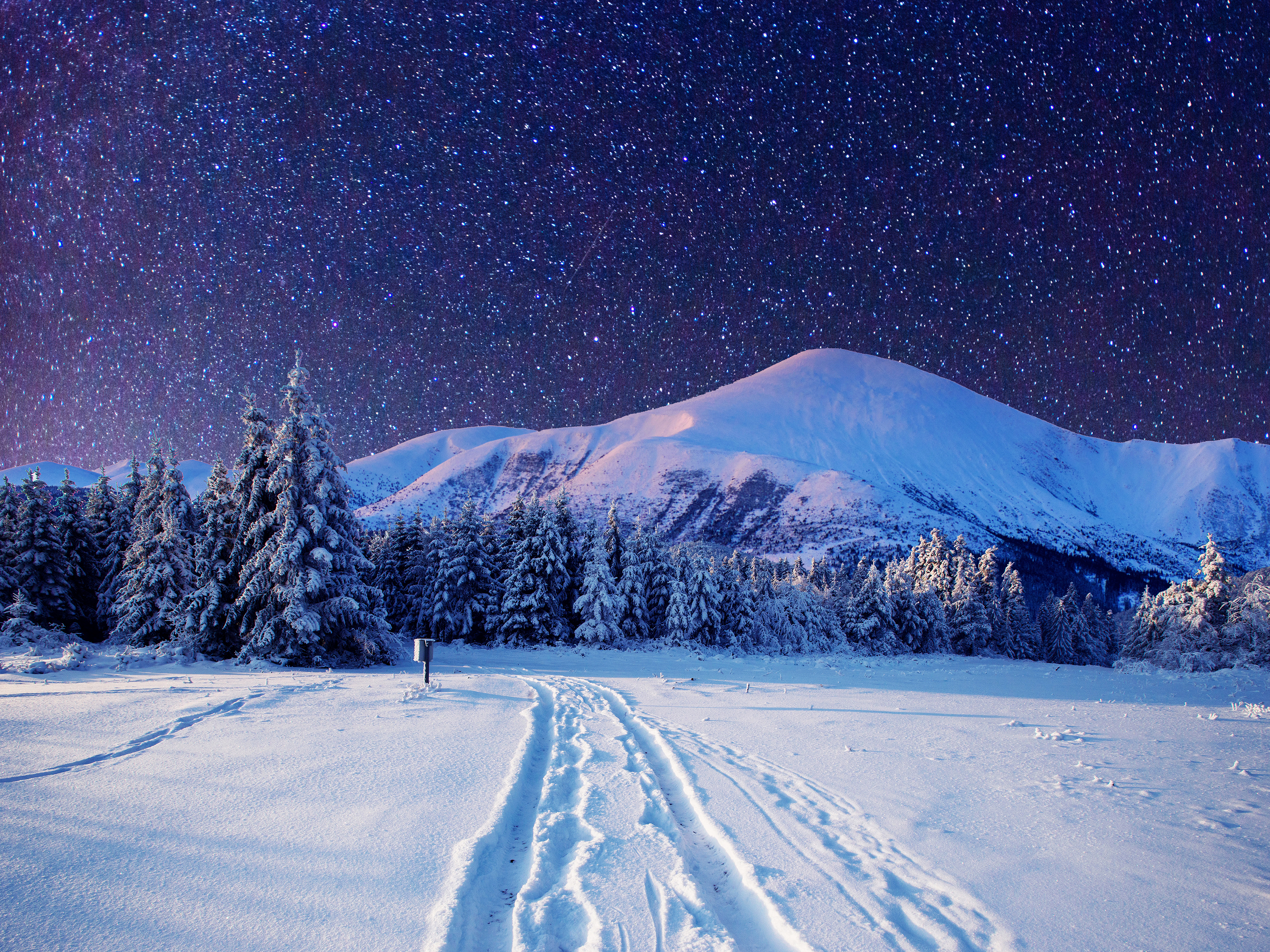 Download mobile wallpaper Winter, Sky, Snow, Starry Sky, Earth for free.