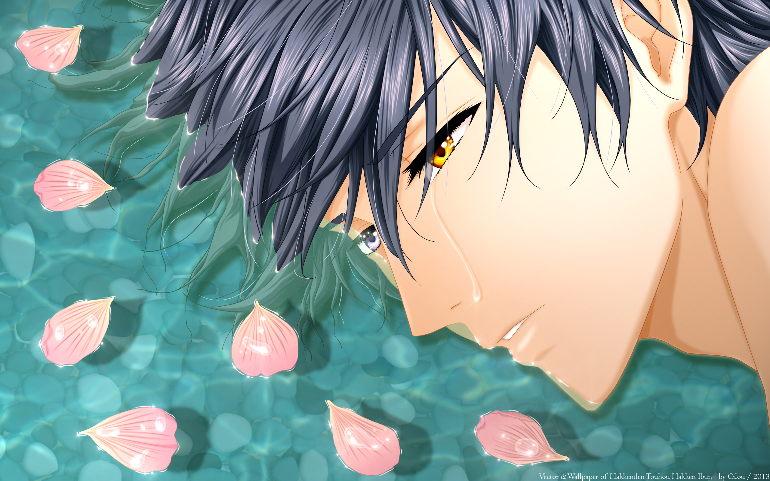 Download mobile wallpaper Anime, Hakkenden: Eight Dogs Of The East, Sosuke Inukawa for free.