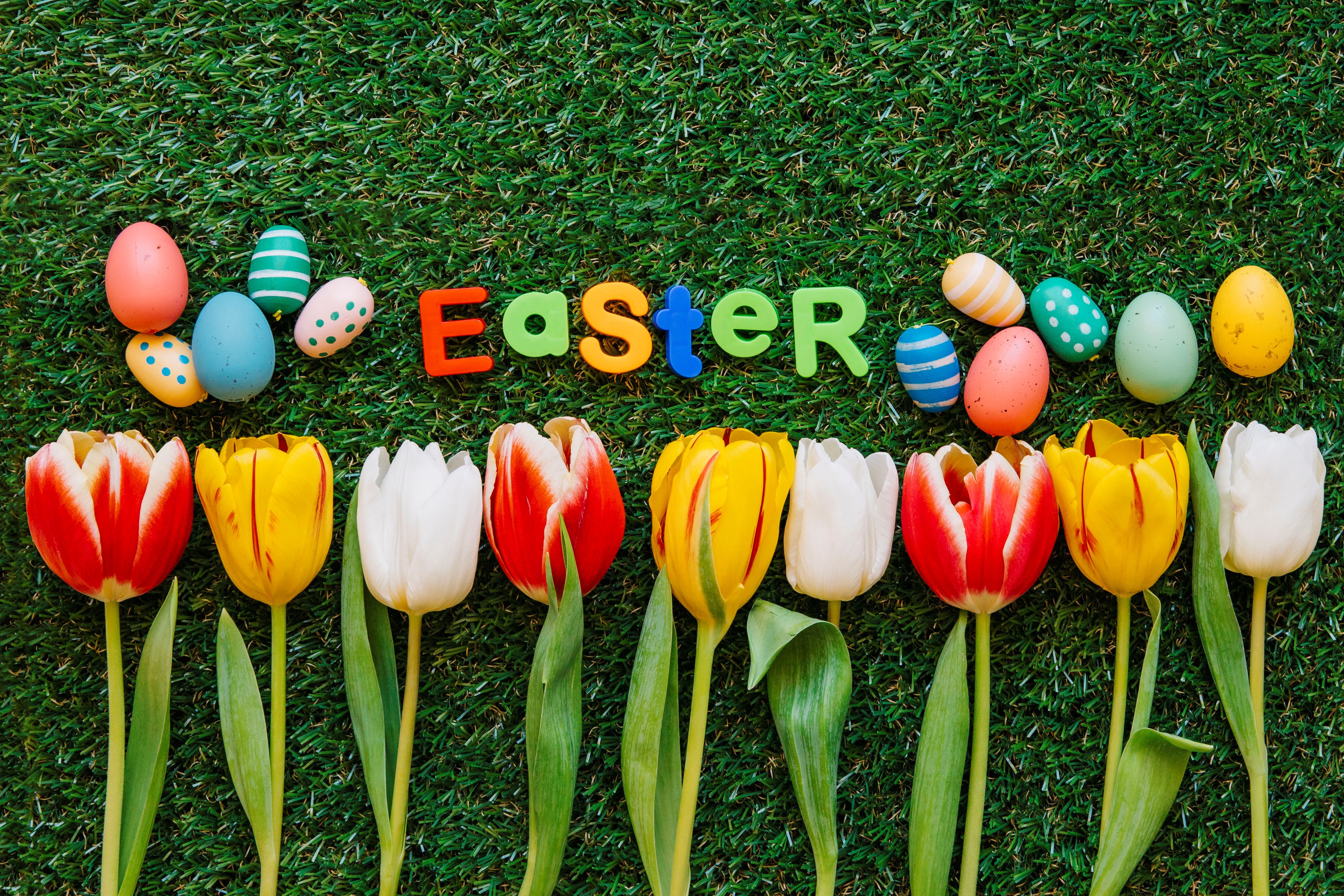 Download mobile wallpaper Easter, Flower, Holiday, Colors, Tulip, Easter Egg for free.