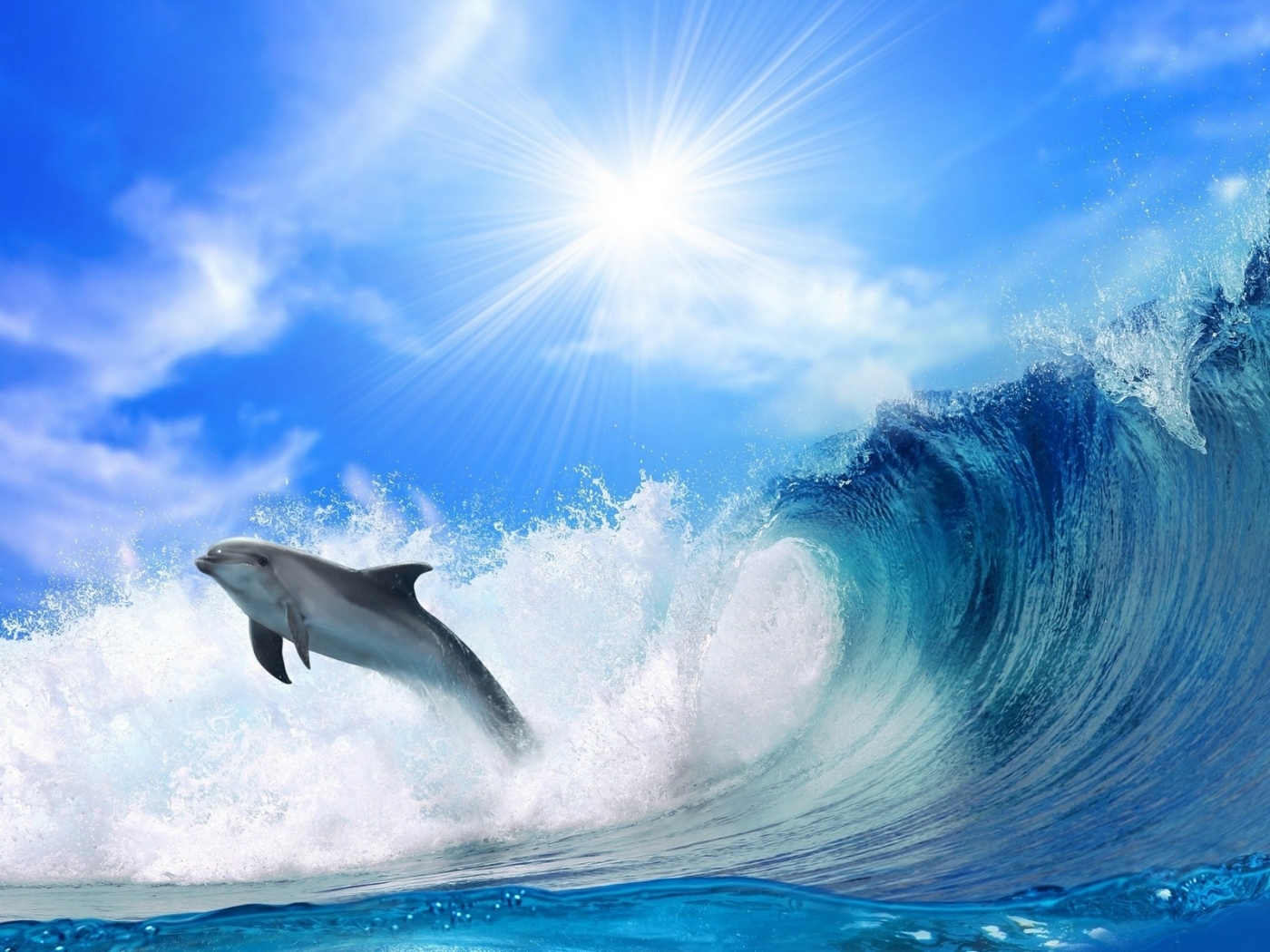 33068 descargar fondo de pantalla delfines, animales, azul: protectores de pantalla e imágenes gratis