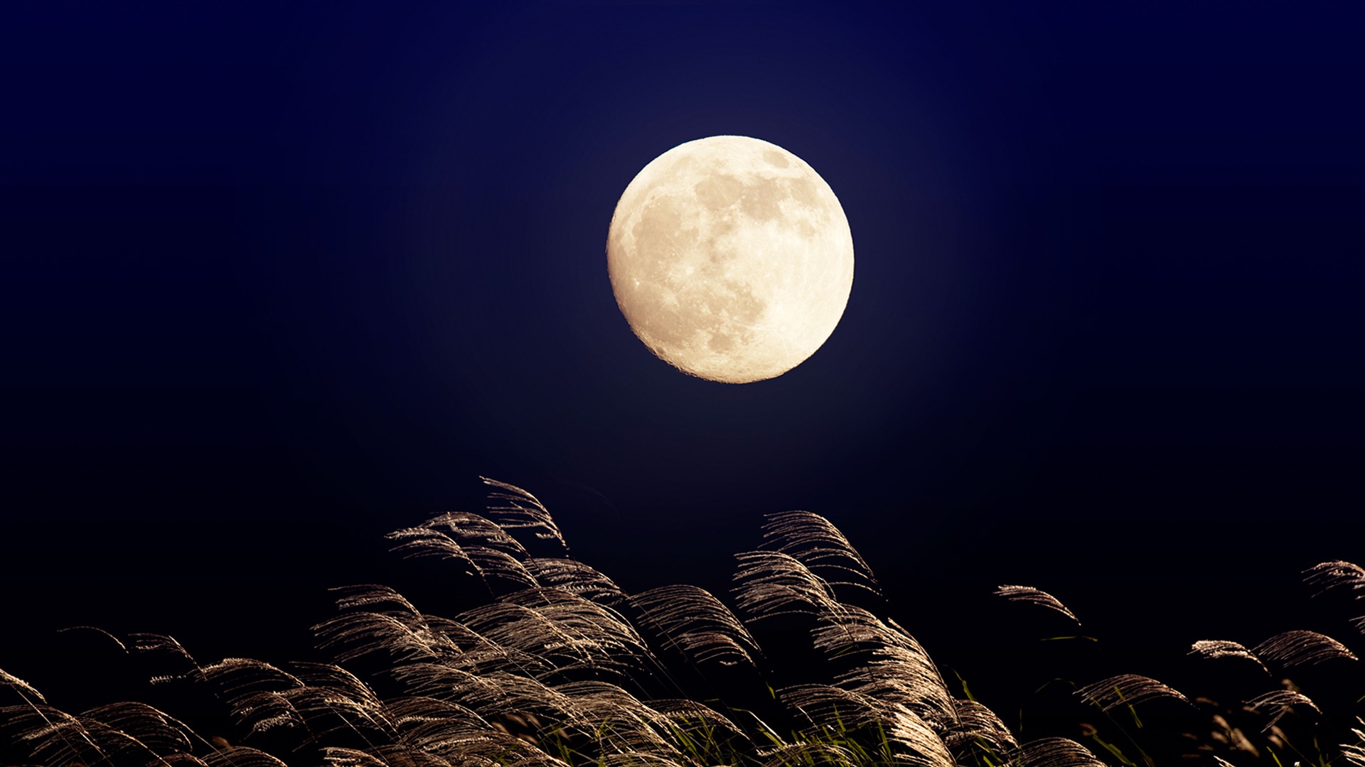 Téléchargez gratuitement l'image Nuit, Lune, Terre/nature sur le bureau de votre PC