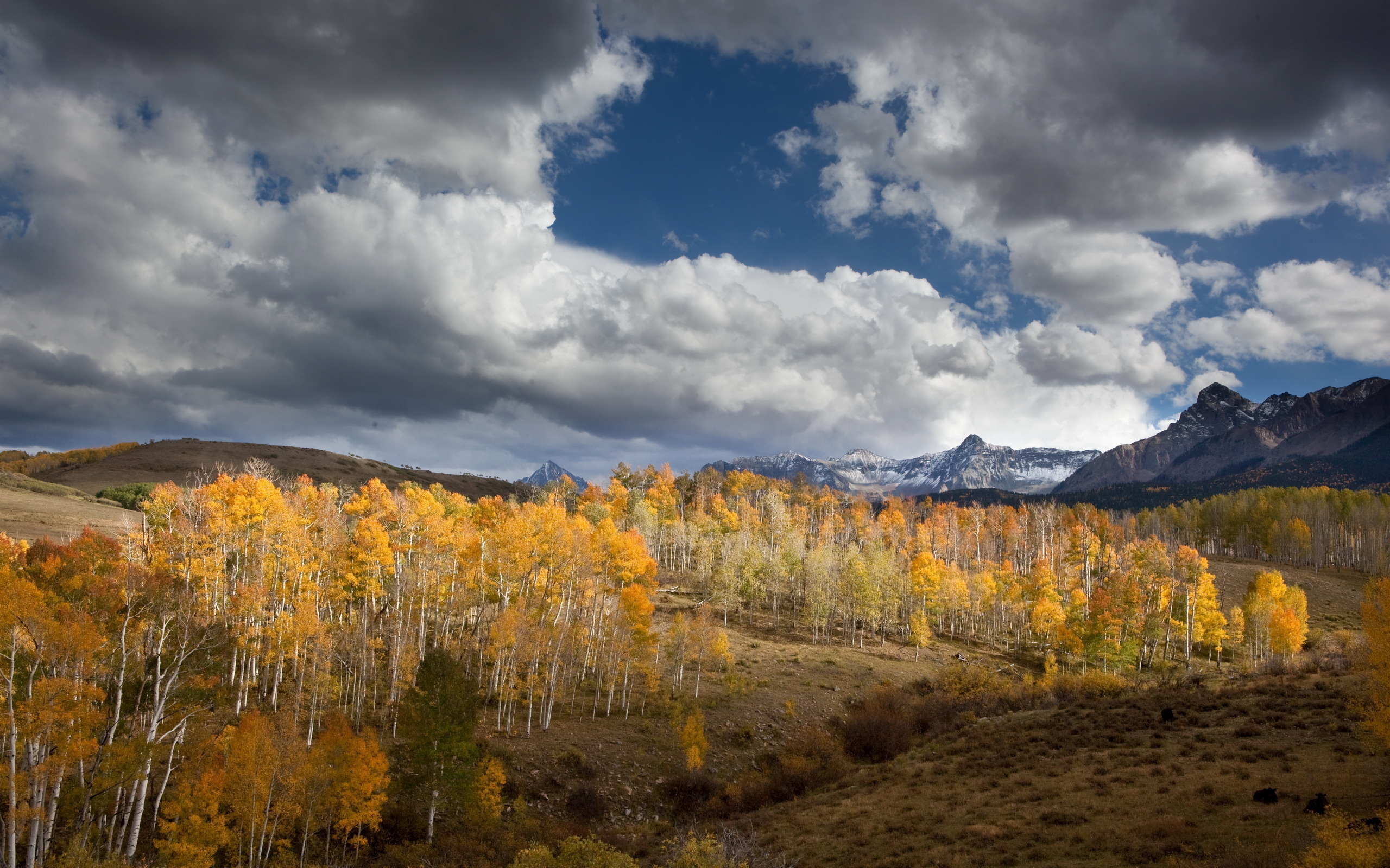 Descarga gratis la imagen Paisaje, Tierra/naturaleza en el escritorio de tu PC