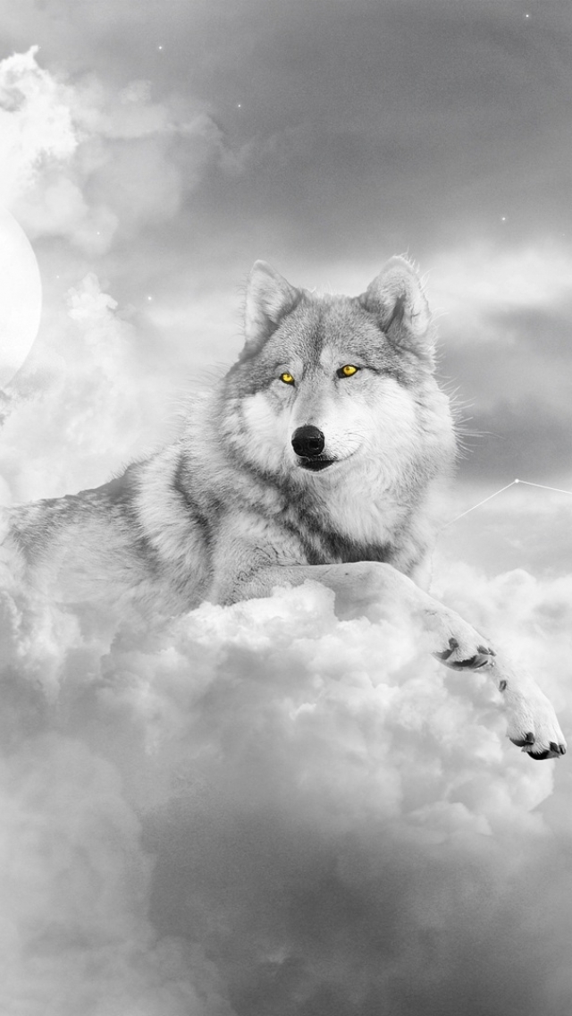 Download mobile wallpaper Fantasy, Moon, Dog, Wolf, Cloud, Castle, Black & White, Fantasy Animals for free.