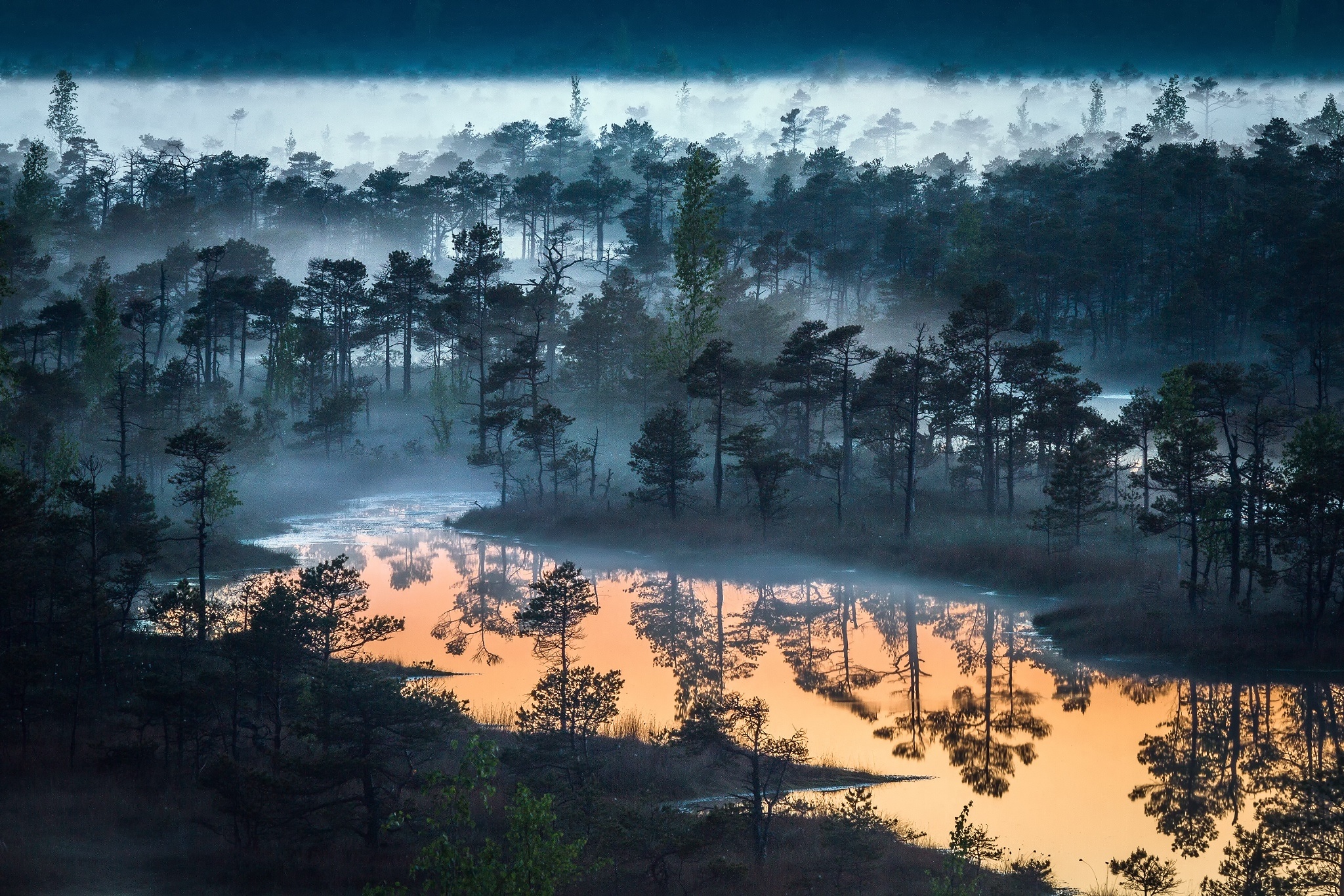 PCデスクトップに自然, 川, 木, 反射, 森, 霧, 地球画像を無料でダウンロード