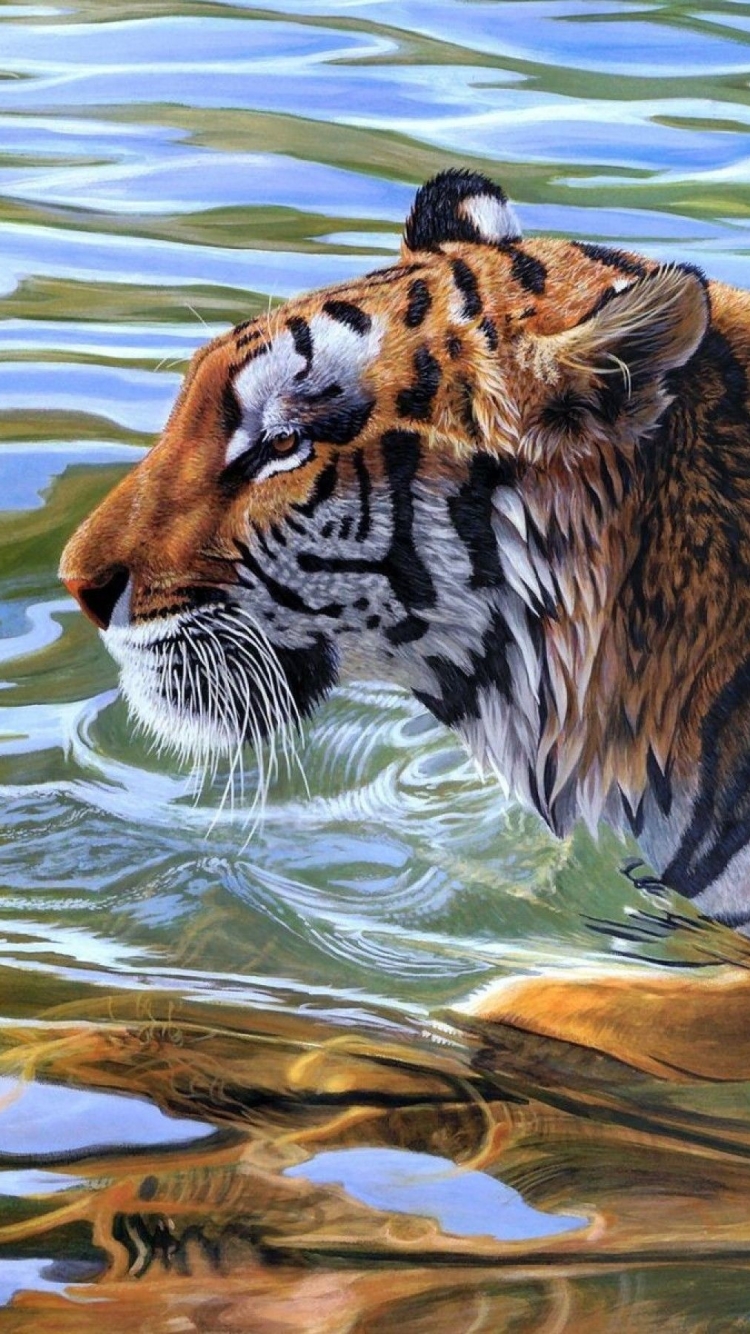 Descarga gratuita de fondo de pantalla para móvil de Animales, Gatos, Tigre.