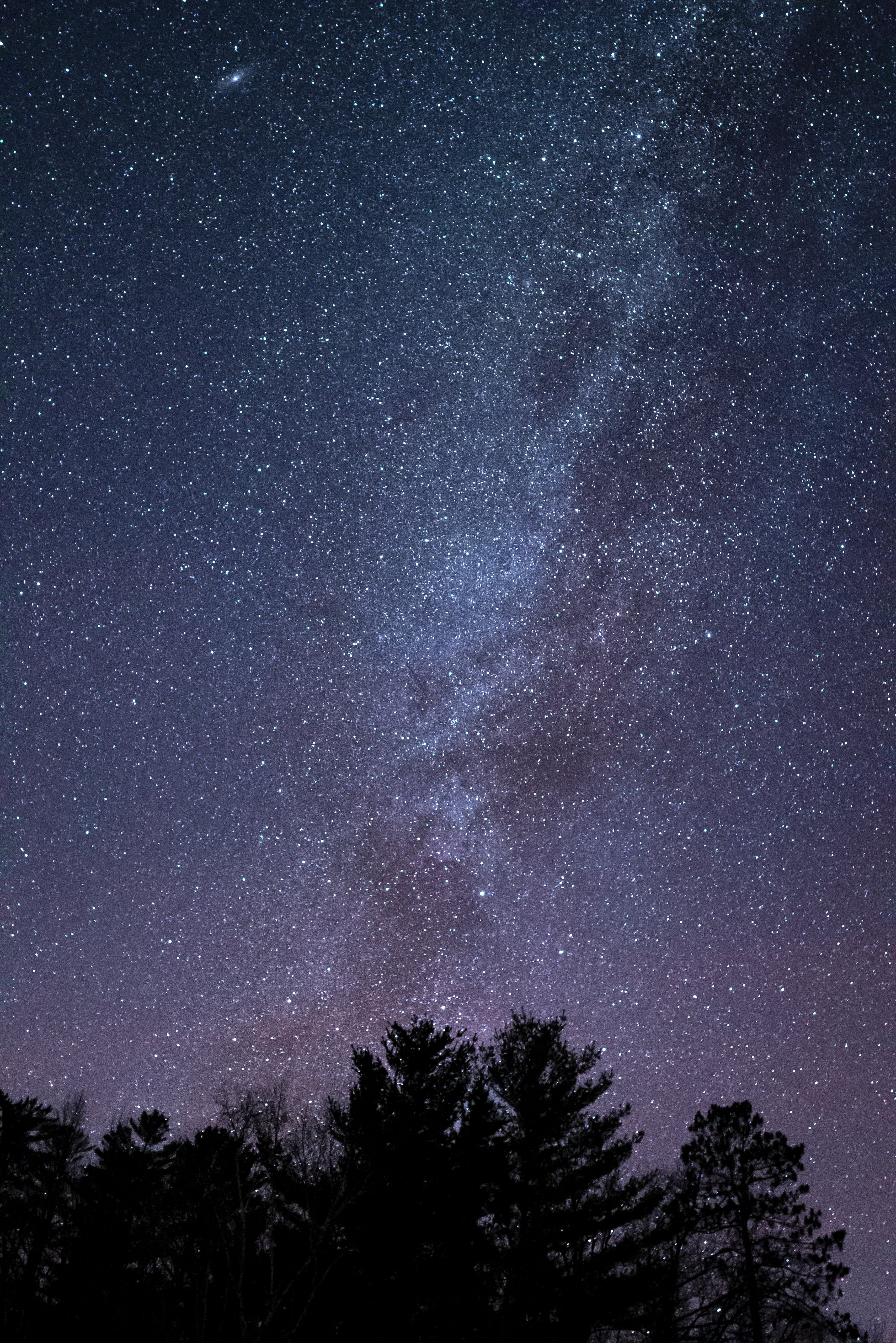 Download mobile wallpaper Trees, Nature, Stars, Starry Sky, Silhouette for free.
