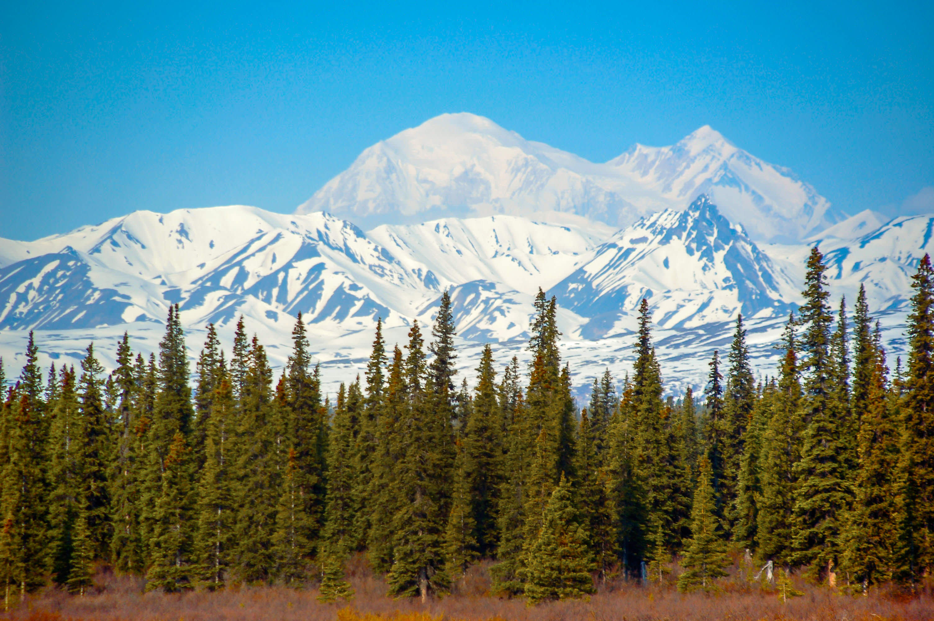PCデスクトップに風景, 自然, 木, 山, 地球, 山岳画像を無料でダウンロード