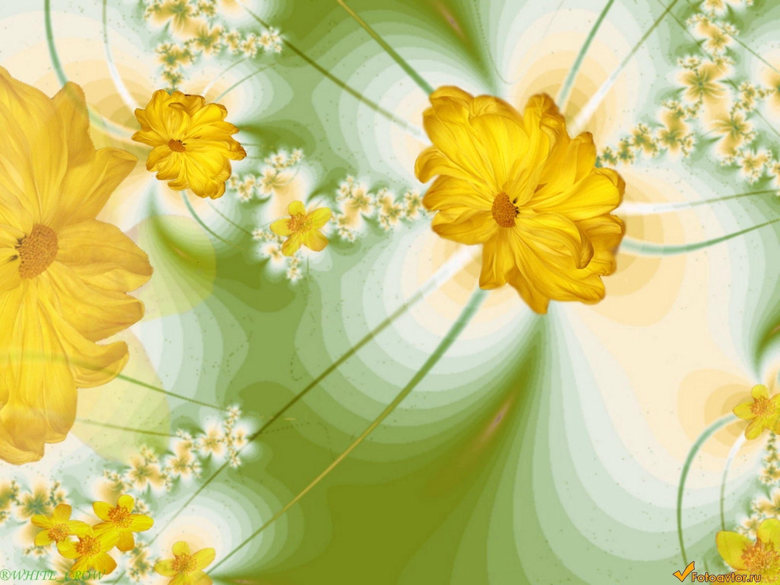 Free download wallpaper Plants, Flowers, Pictures on your PC desktop