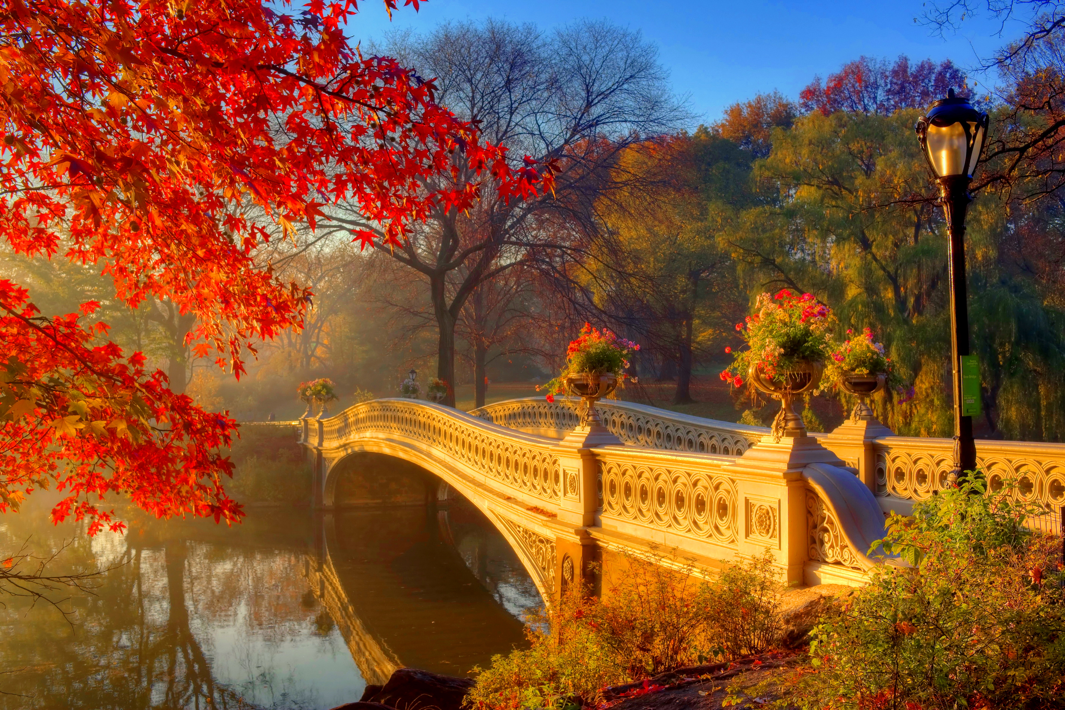 Скачать картинку Река, Осень, Отражение, Парк, Дерево, Мост, Фотографии в телефон бесплатно.
