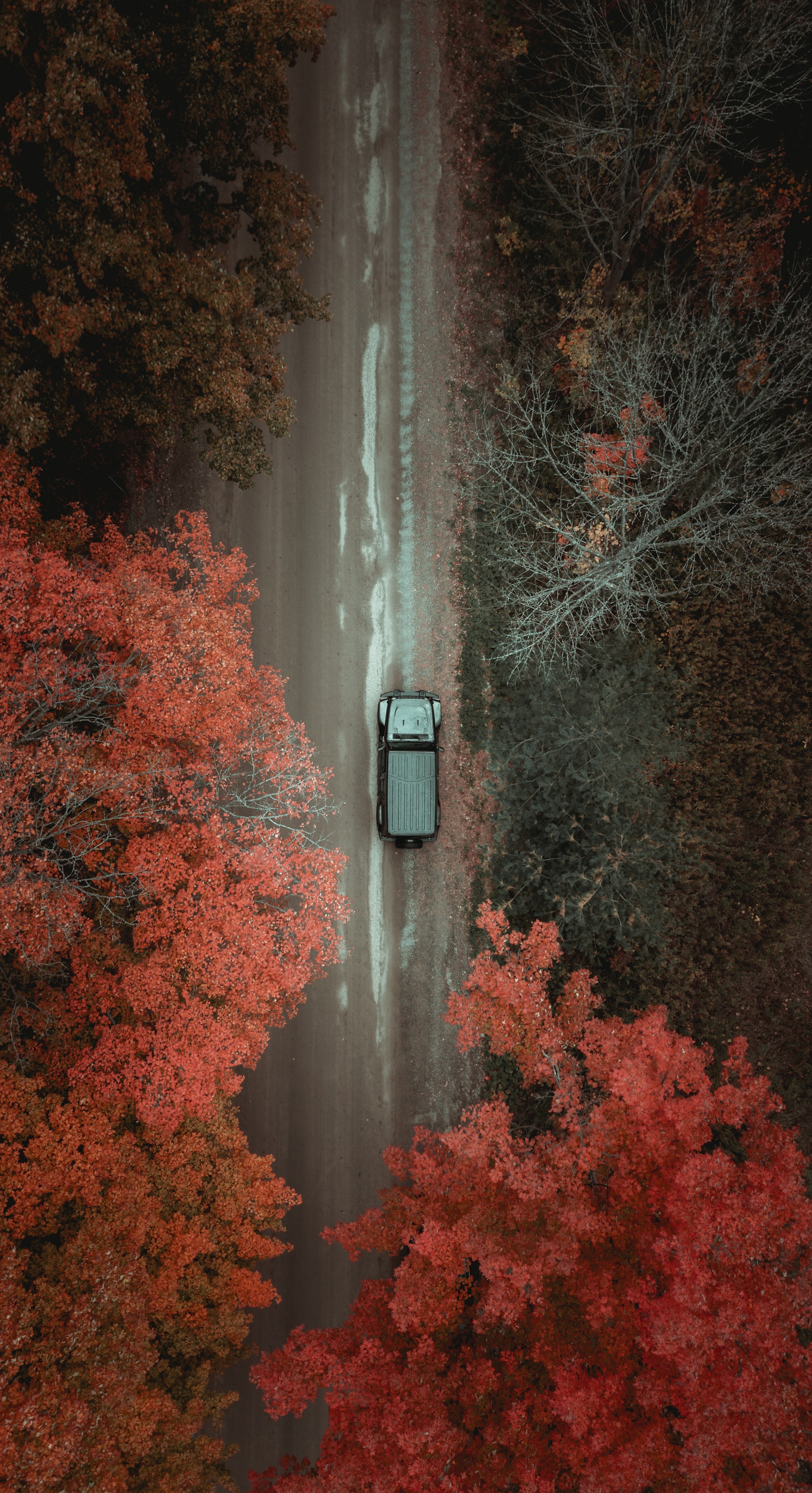 Free download wallpaper Trees, View From Above, Miscellanea, Road, Miscellaneous, Car on your PC desktop