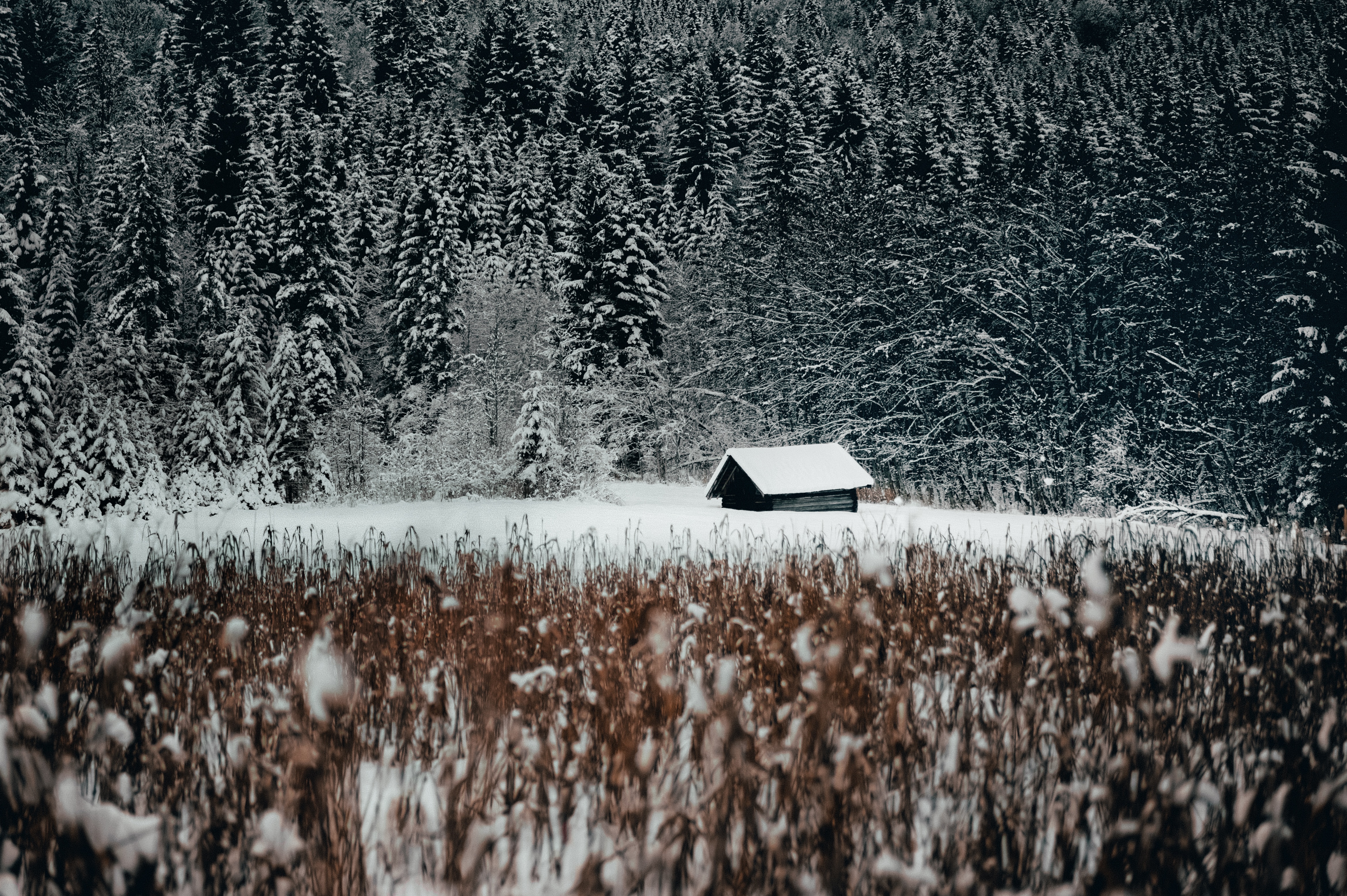 112814 Hintergrundbild herunterladen winter, natur, schnee, wald, kleines haus, lodge, stadtrand, kante - Bildschirmschoner und Bilder kostenlos