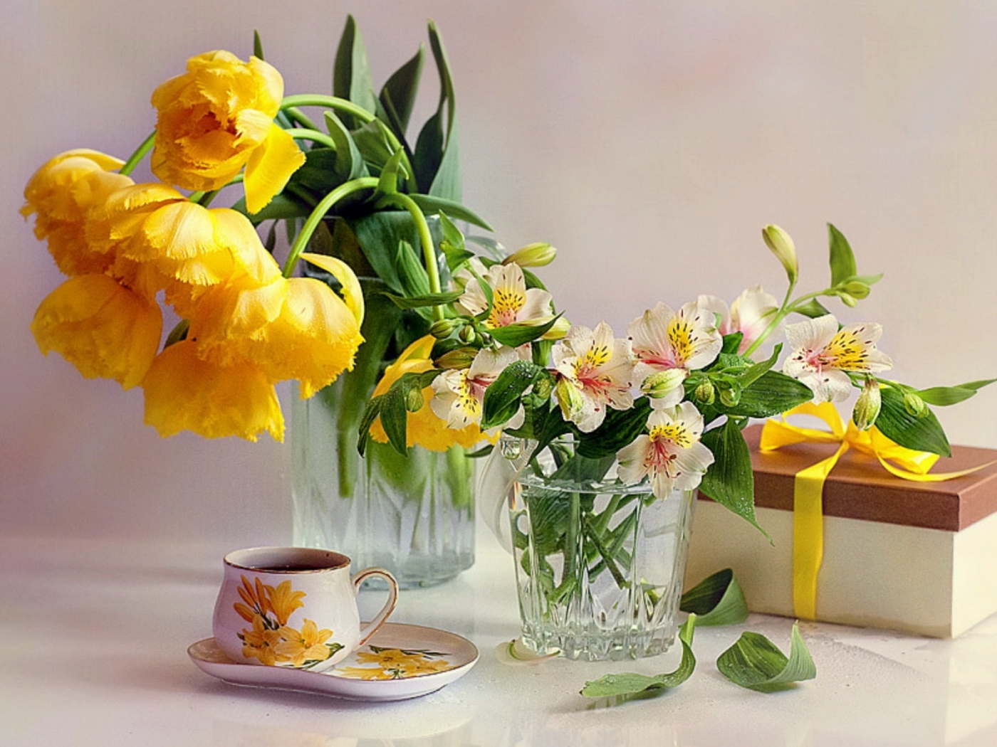 Laden Sie das Pflanzen, Bouquets, Blumen-Bild kostenlos auf Ihren PC-Desktop herunter