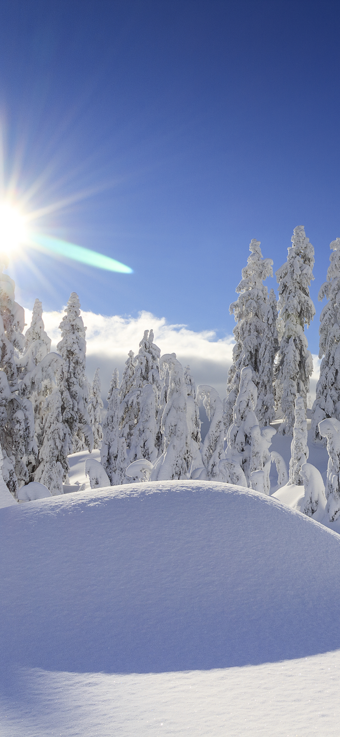 Descarga gratuita de fondo de pantalla para móvil de Invierno, Naturaleza, Nieve, Canadá, Árbol, Soleado, Tierra/naturaleza.