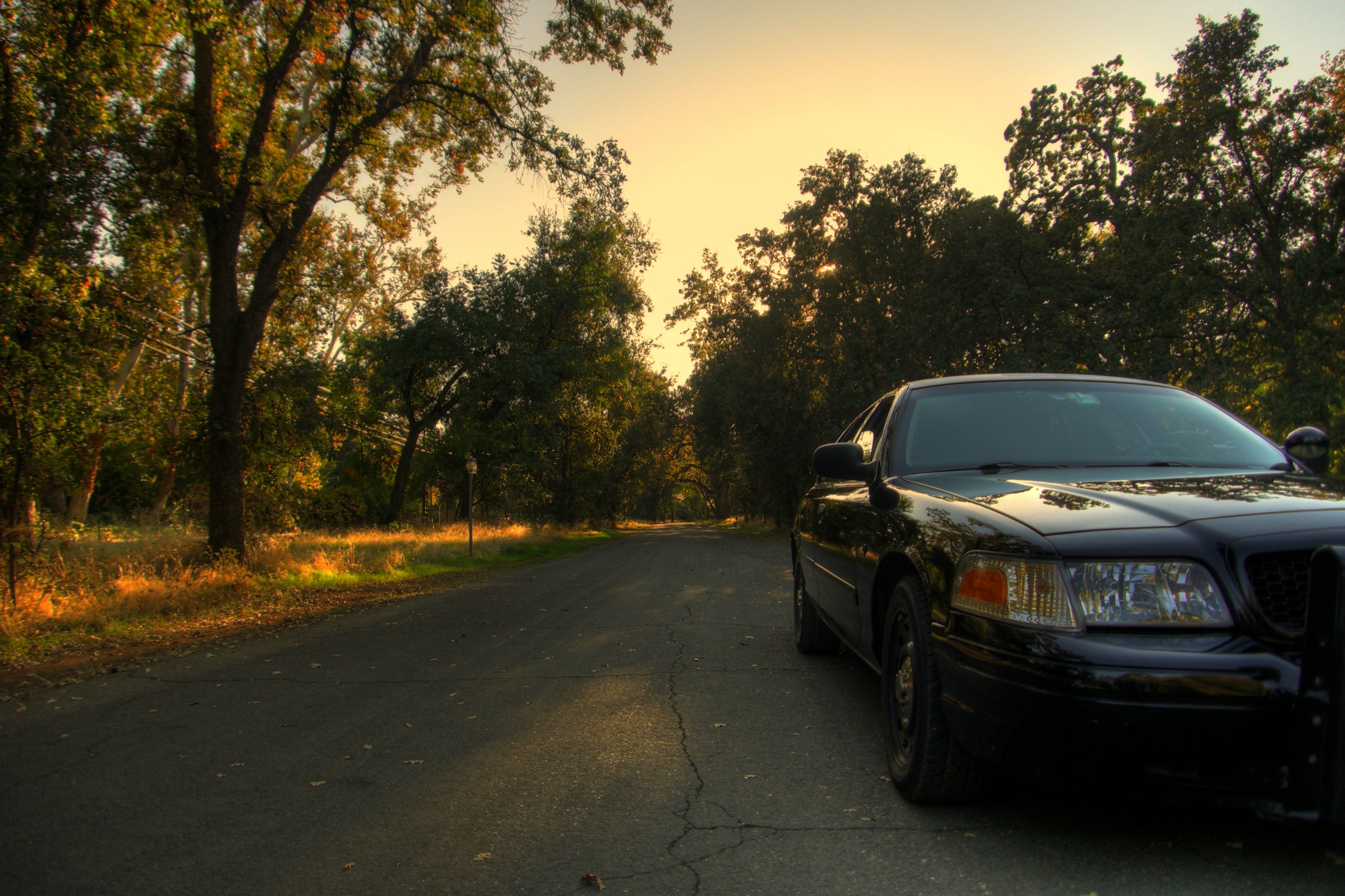 Ford Crown Victoria Vertical Background