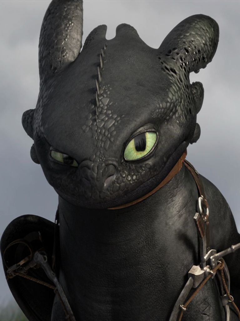Download mobile wallpaper Movie, Toothless (How To Train Your Dragon), How To Train Your Dragon, How To Train Your Dragon 2 for free.
