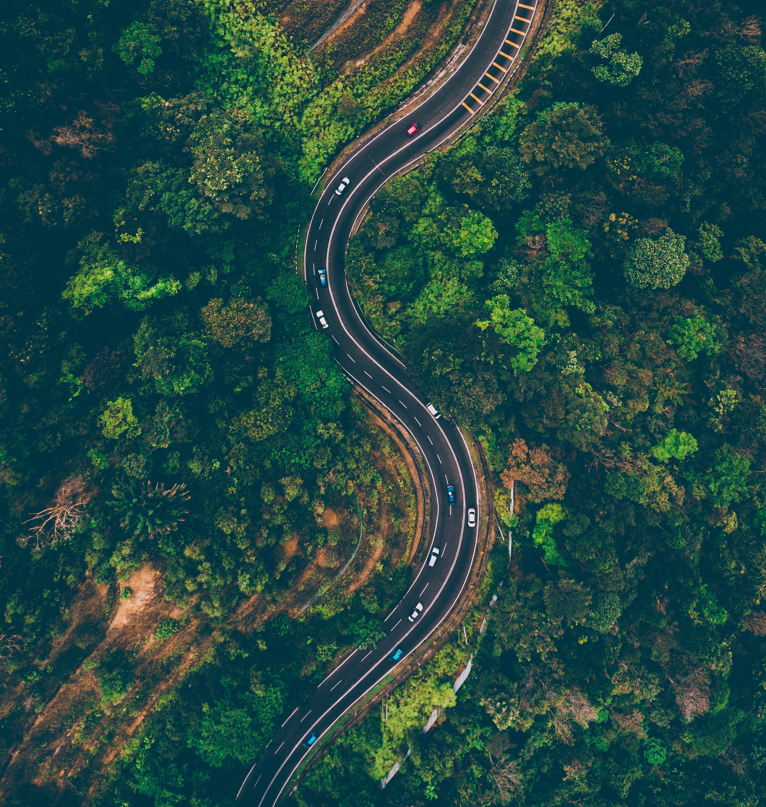 road, sinuous, malaysia, view from above, nature, trees, winding, batang kali wallpaper for mobile