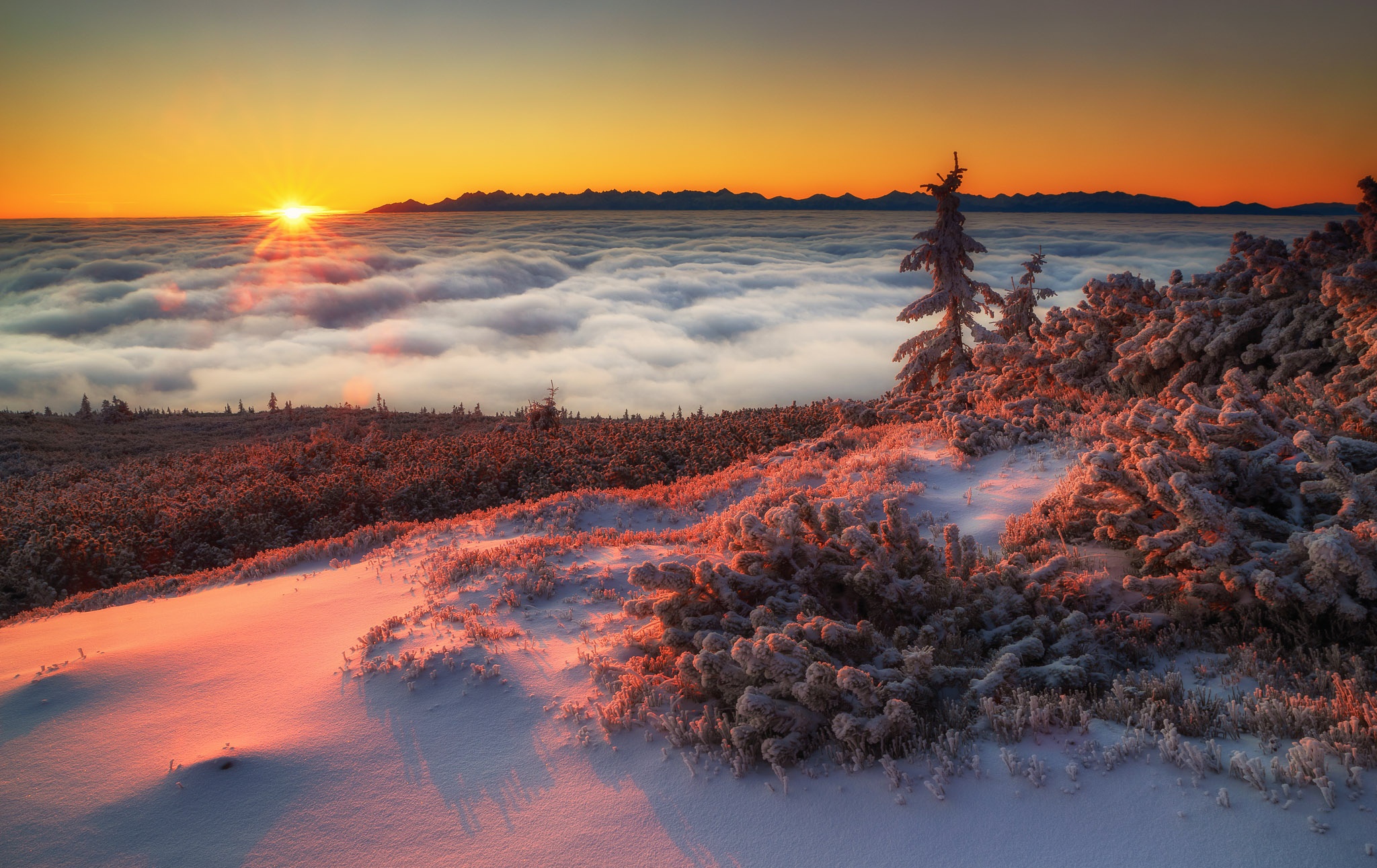 Download mobile wallpaper Landscape, Poland, Sunrise, Earth, Sea Of Clouds for free.